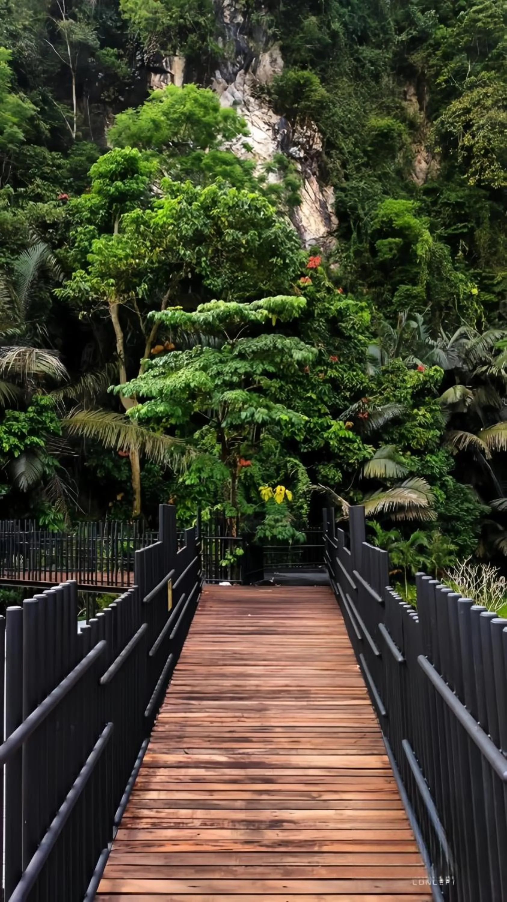 Garden in The Cove Hillside Residence Ipoh