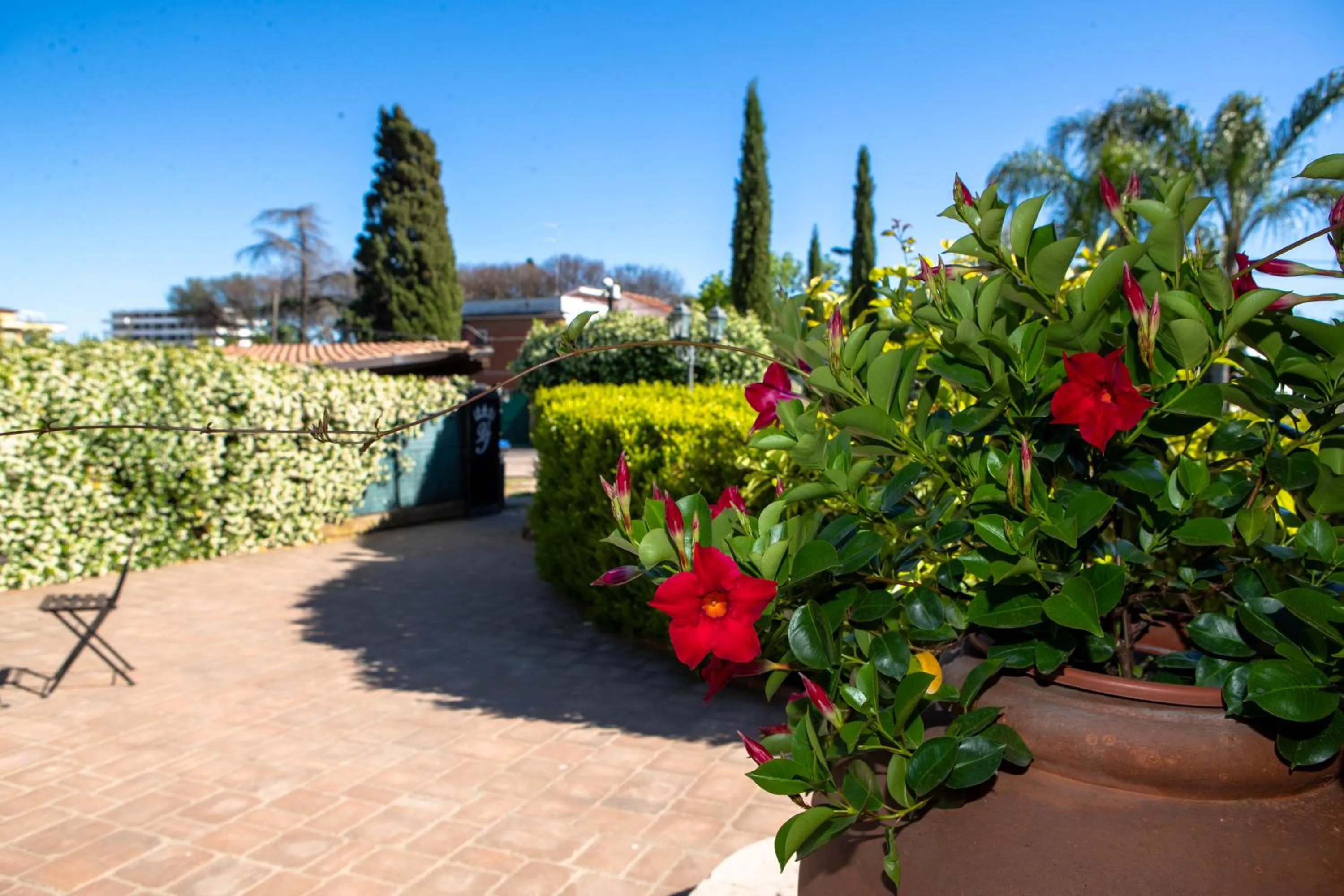 Garden view in Affittacamere Campus Trigoria