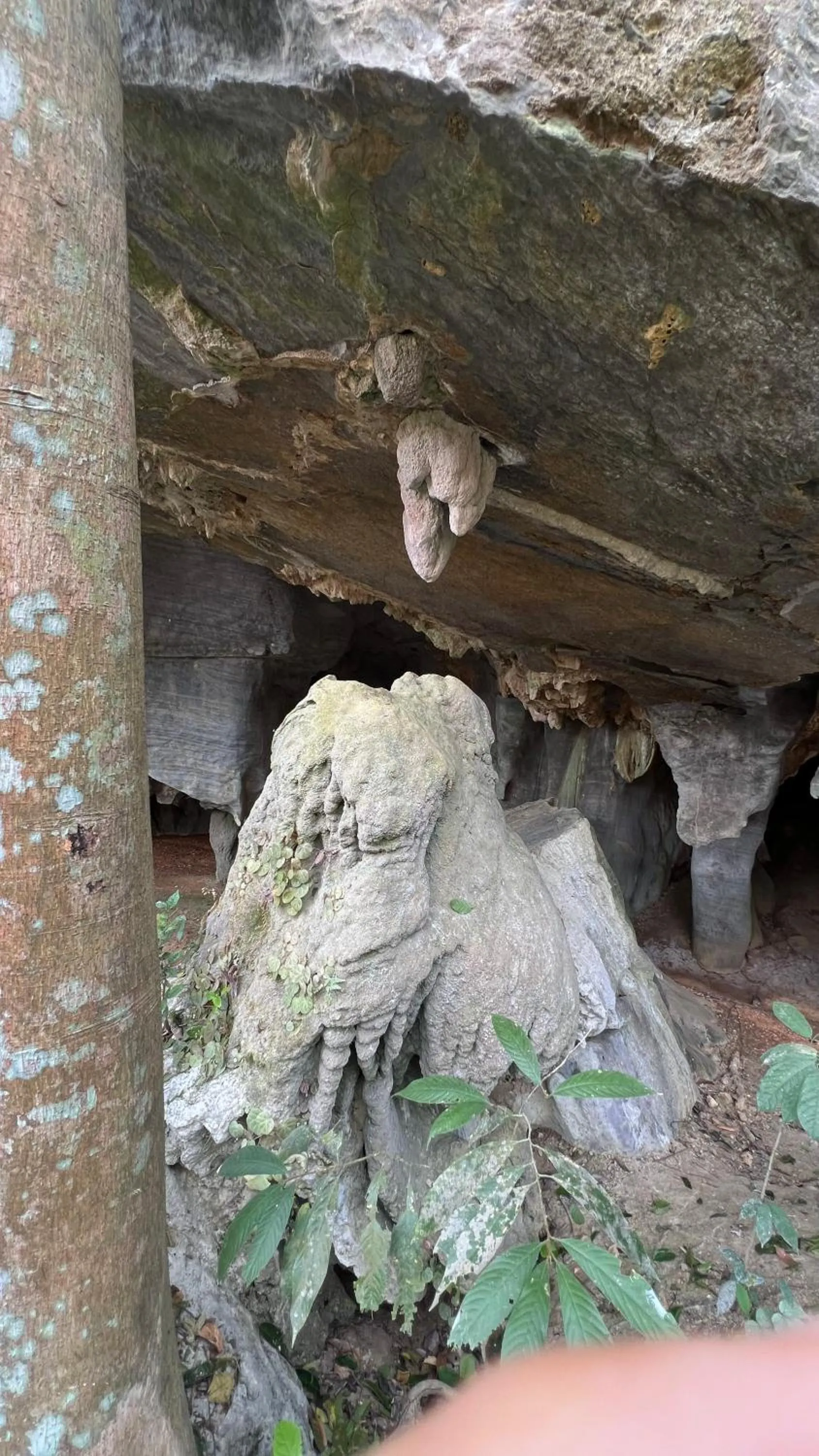 Country house Pulai Holiday Village