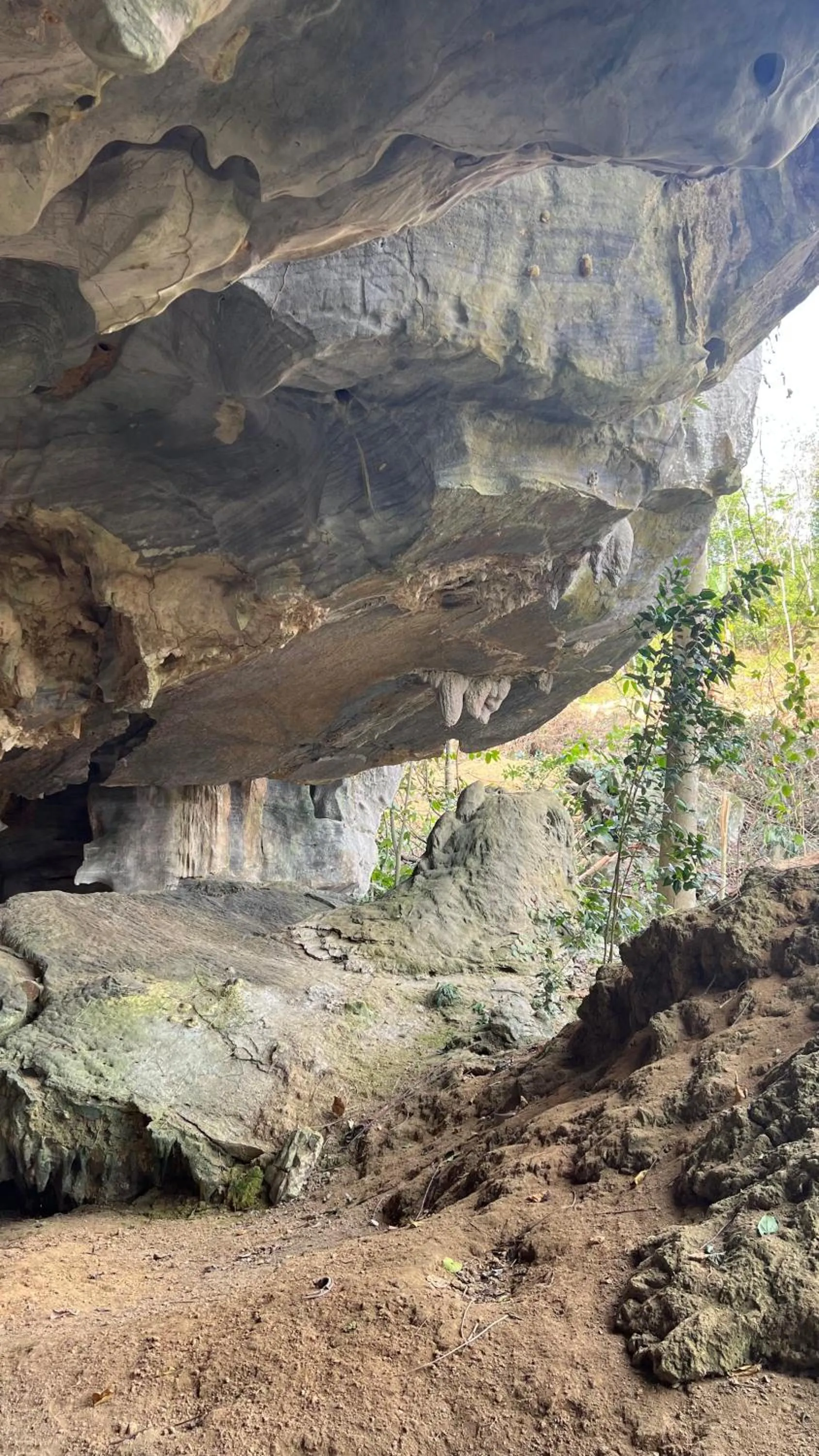 Country house Pulai Holiday Village