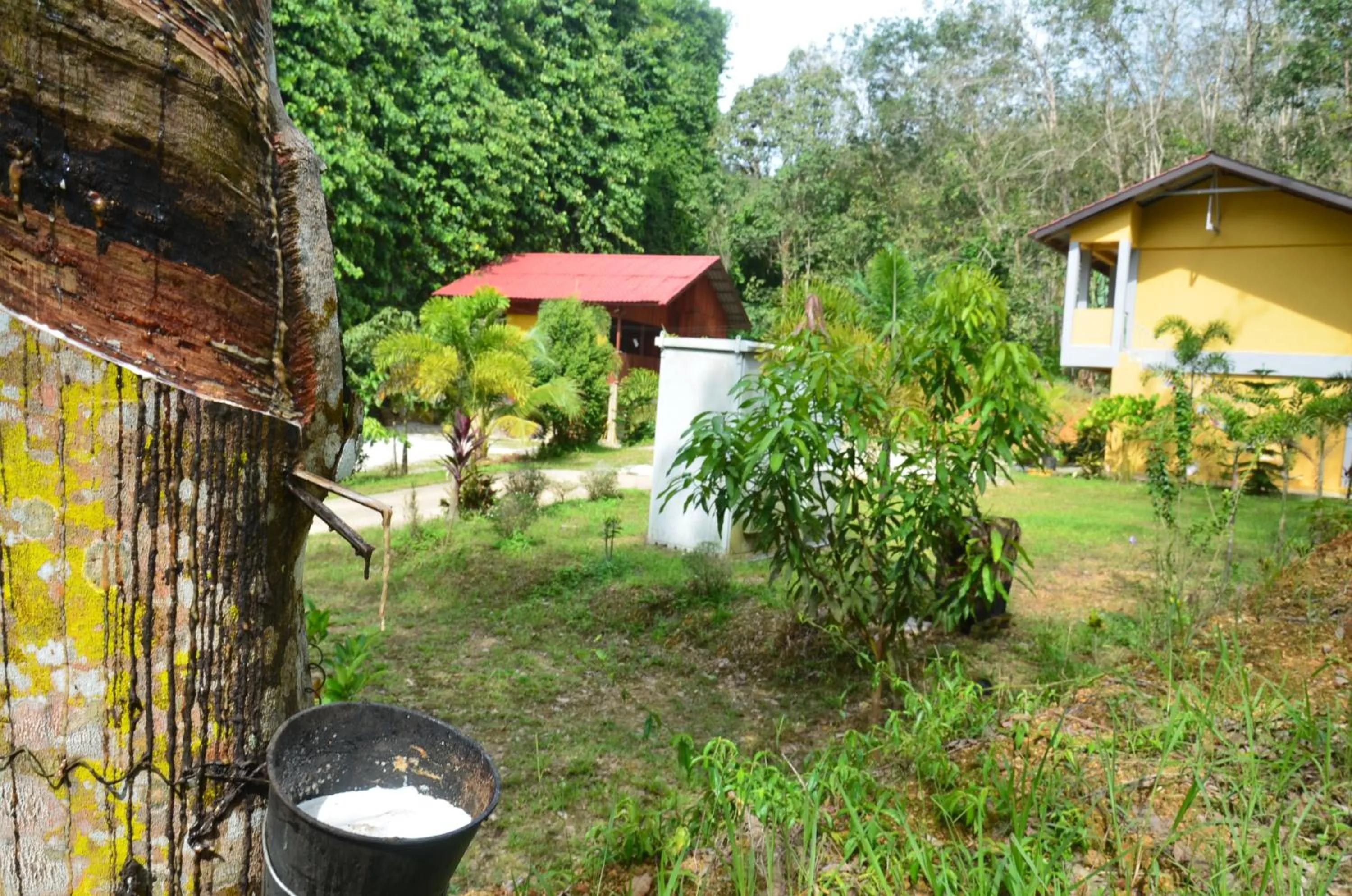 Country house Pulai Holiday Village