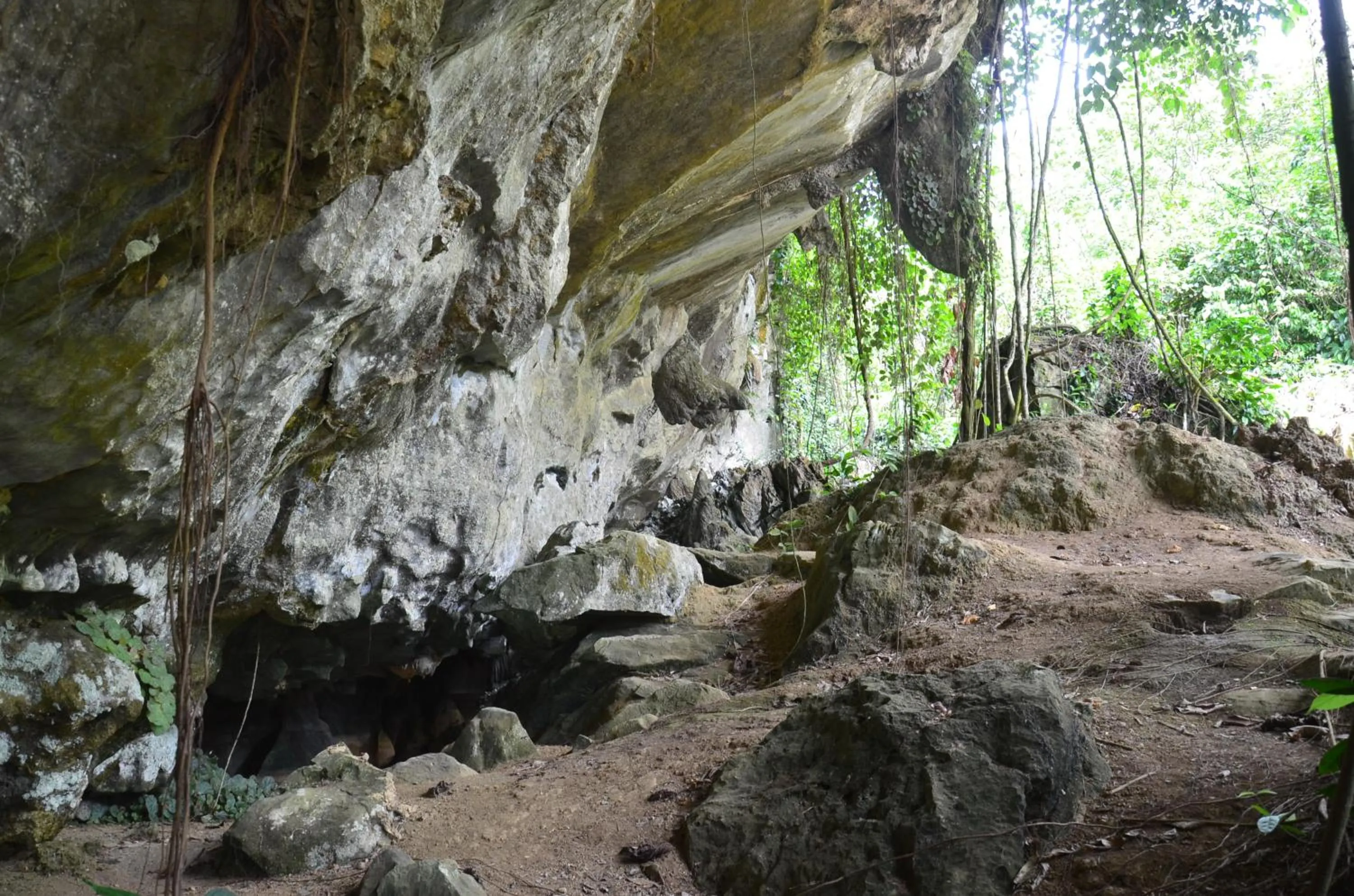 Property building in Country house Pulai Holiday Village