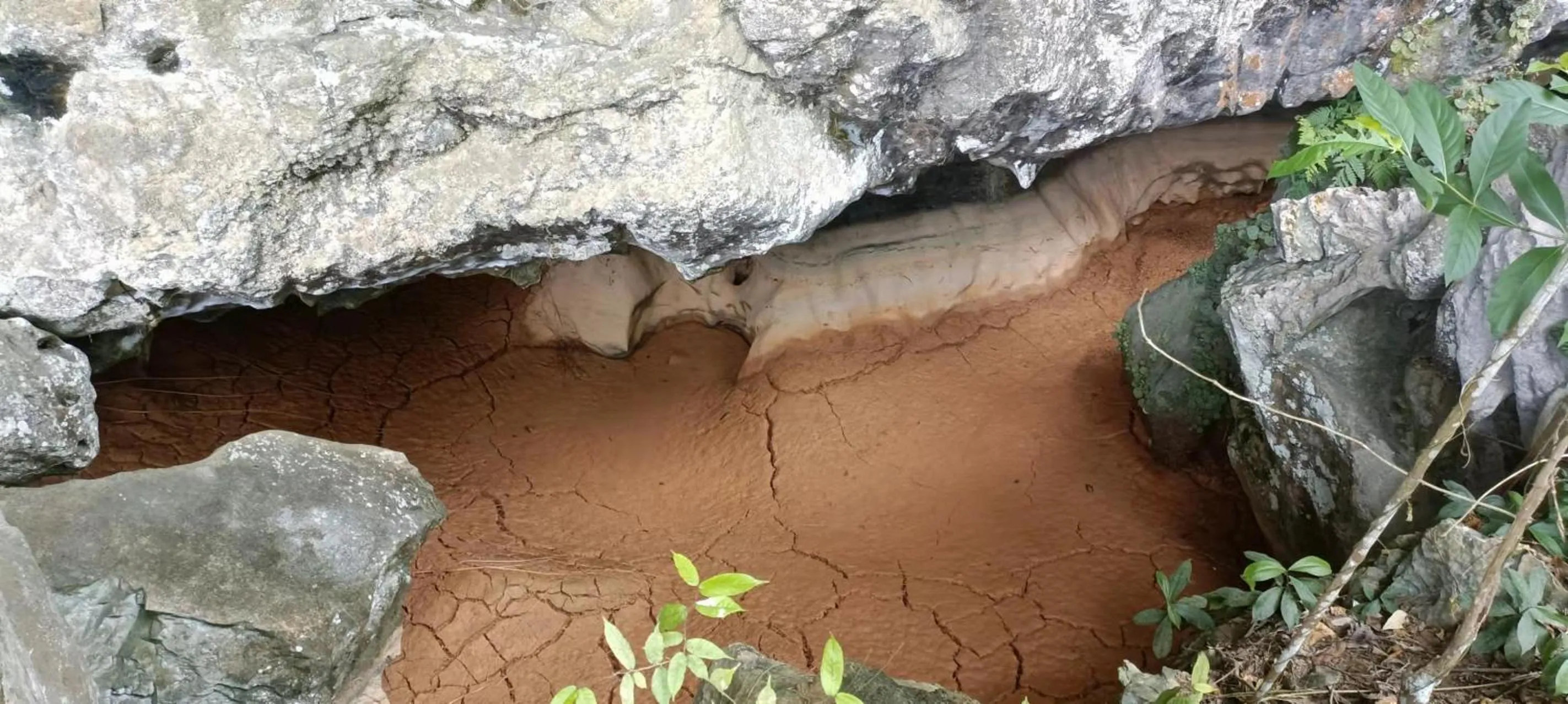 Property building in Country house Pulai Holiday Village