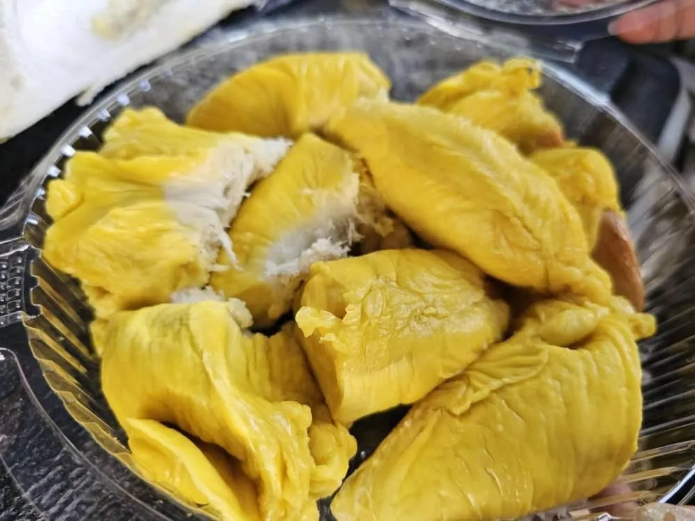 Country house Pulai Holiday Village