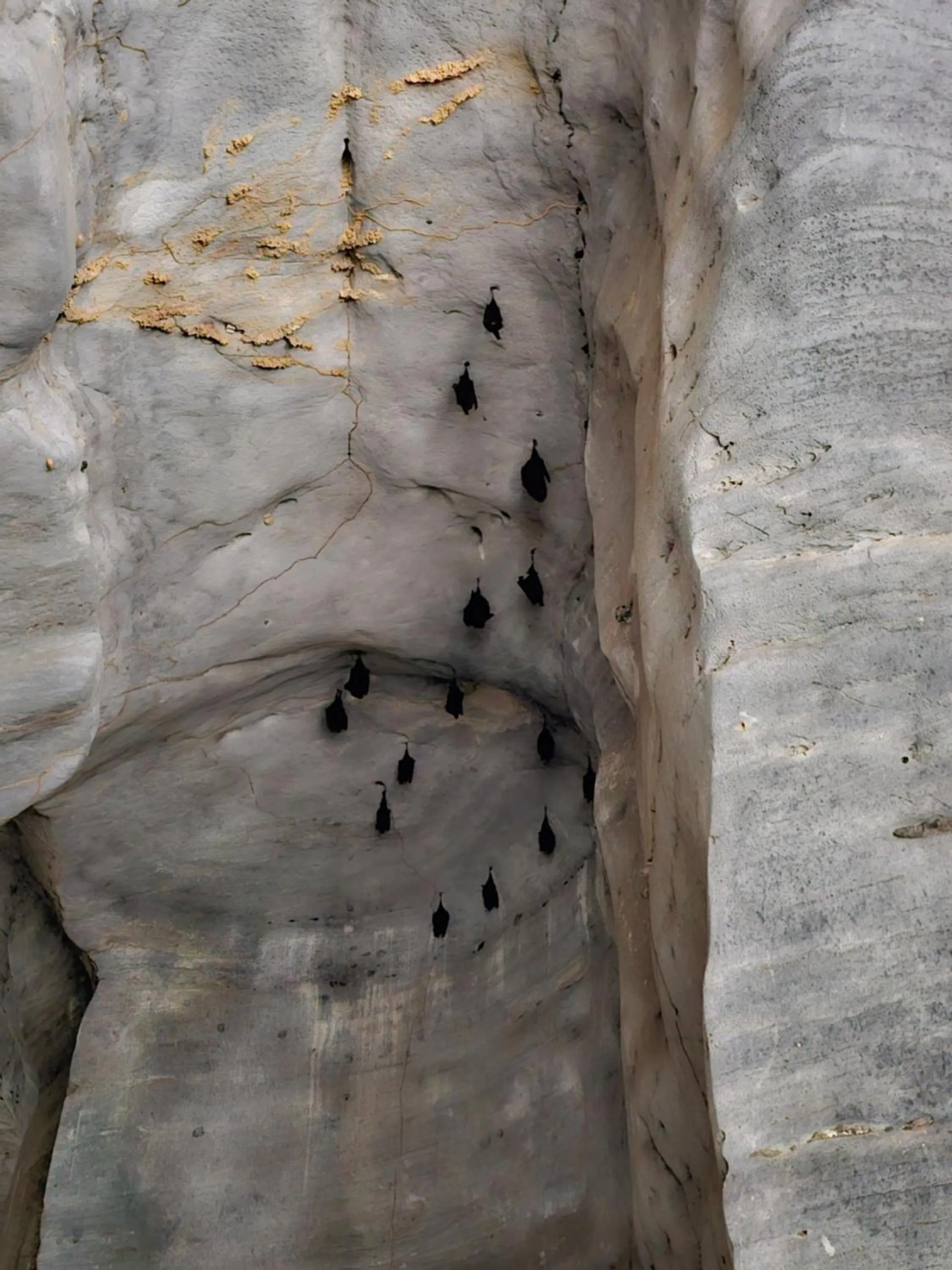 Country house Pulai Holiday Village