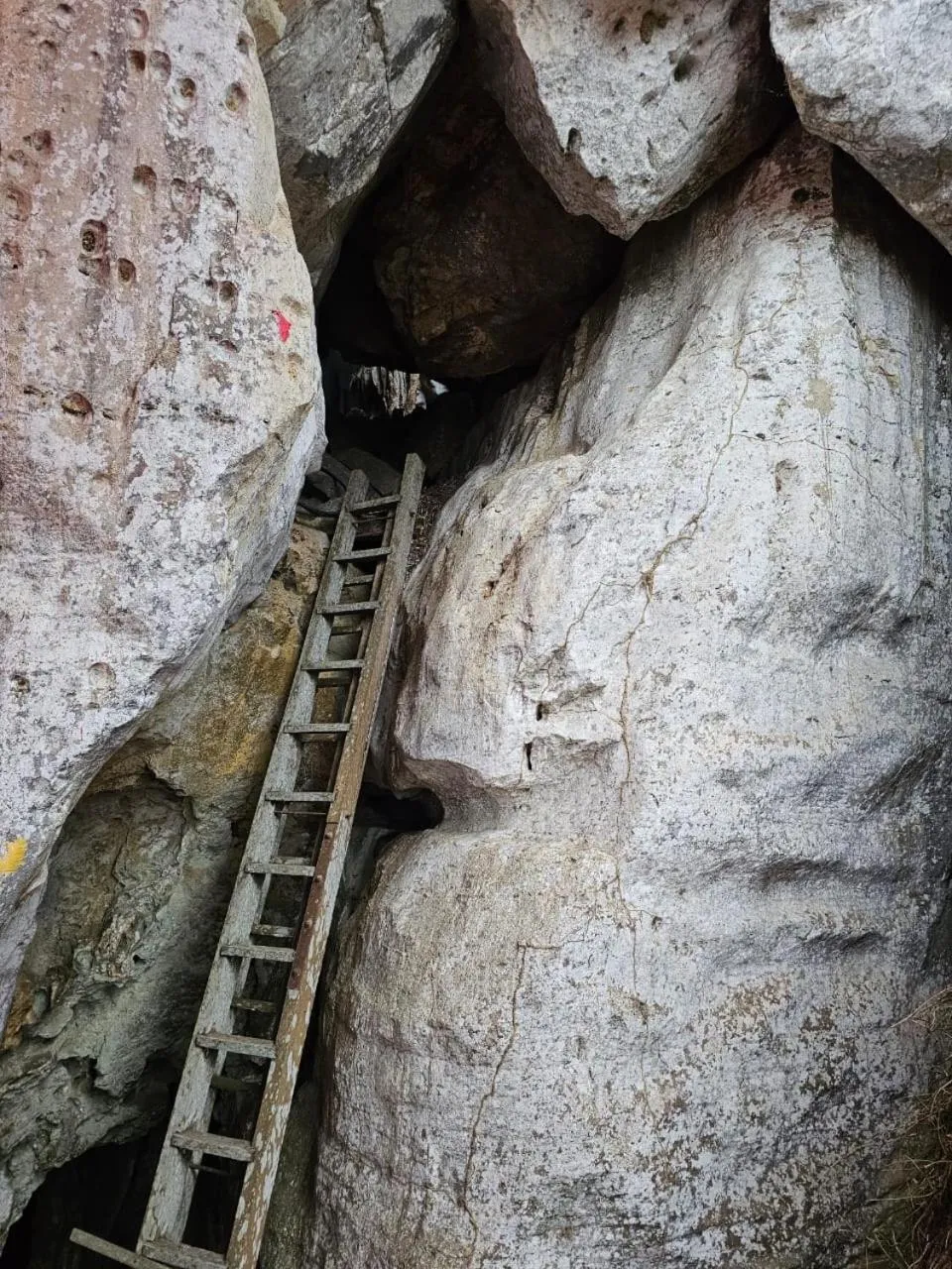 Country house Pulai Holiday Village