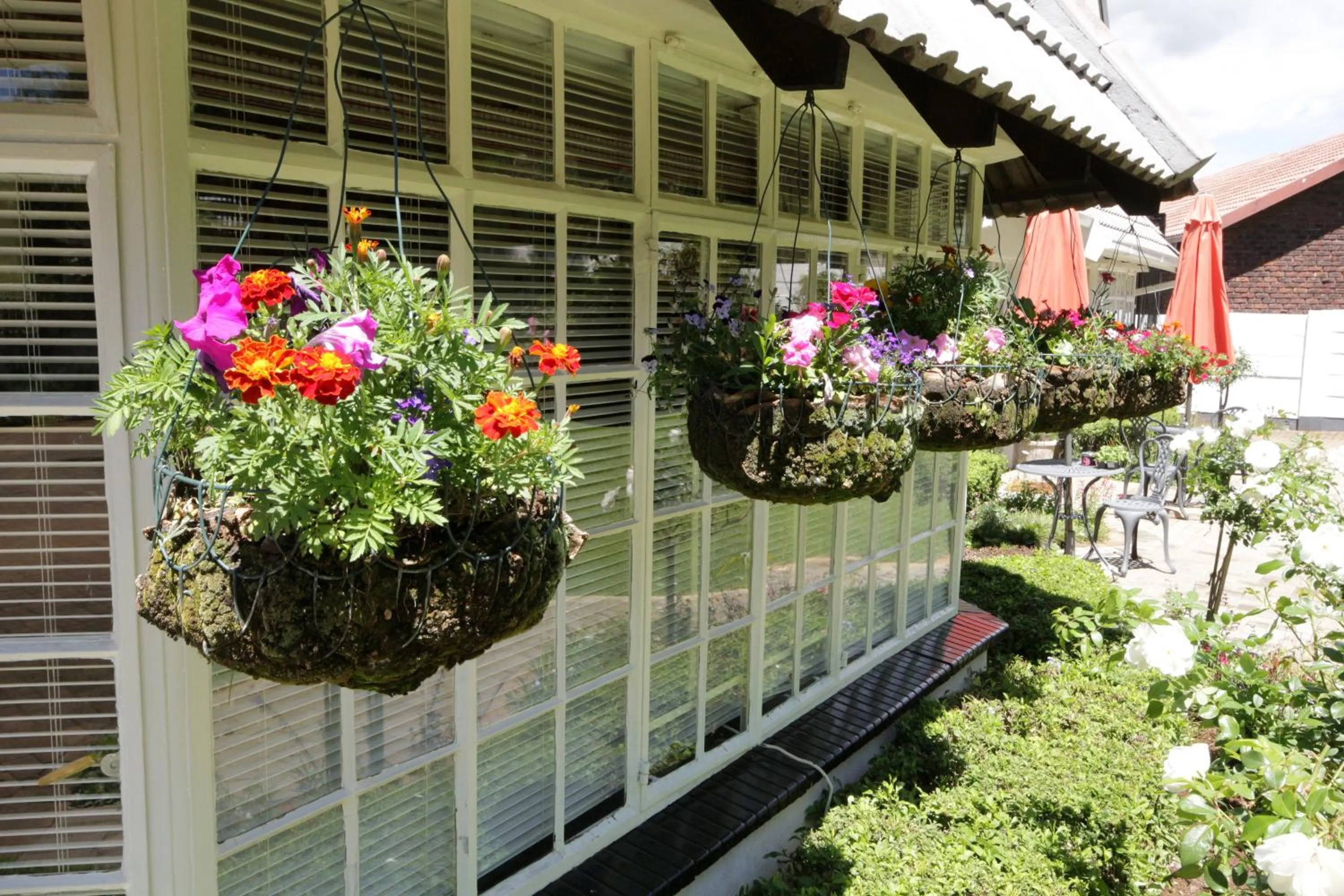 Garden, Property Building in Aberdeen House