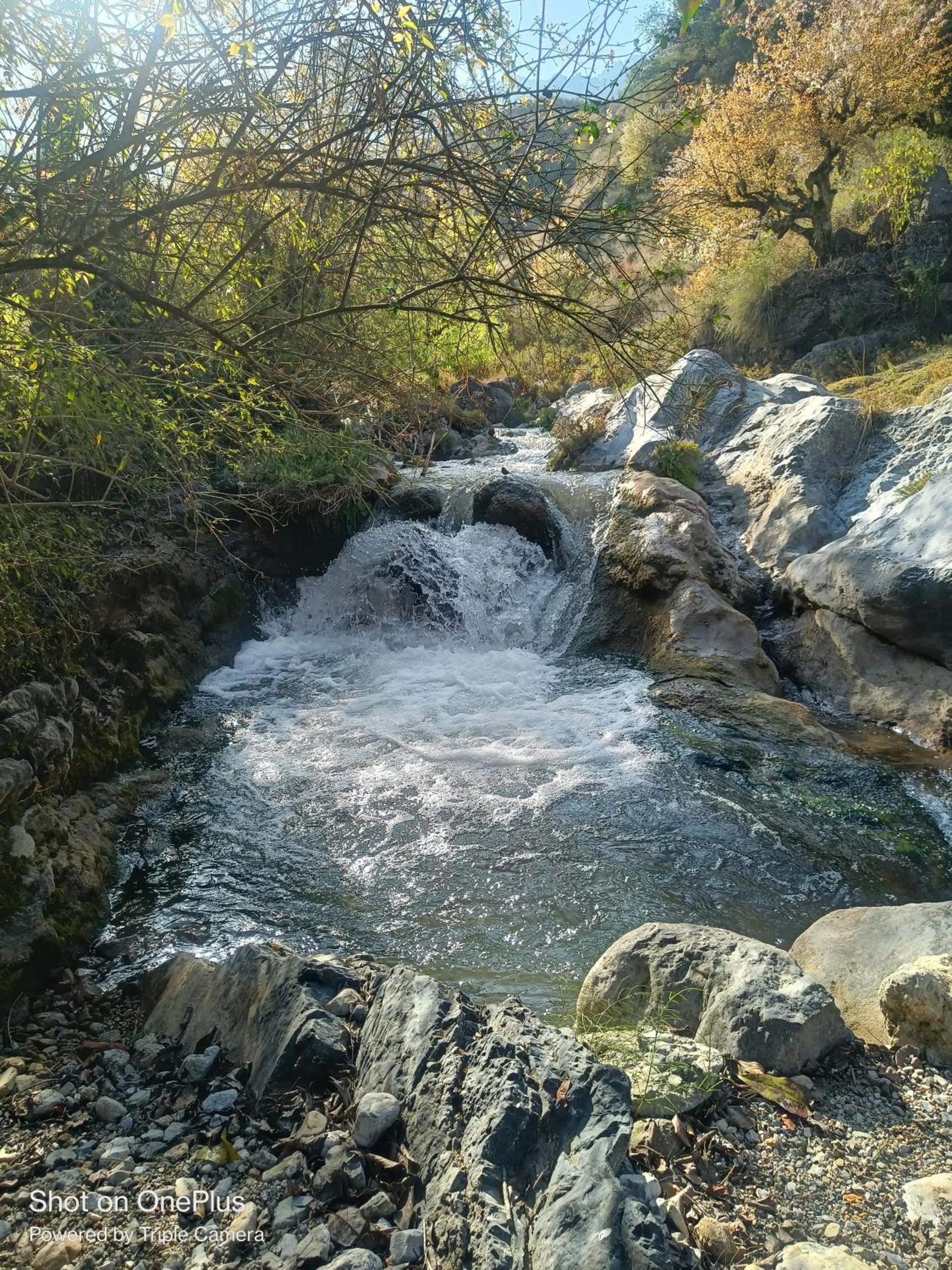 Rivulet Resort & Camping
