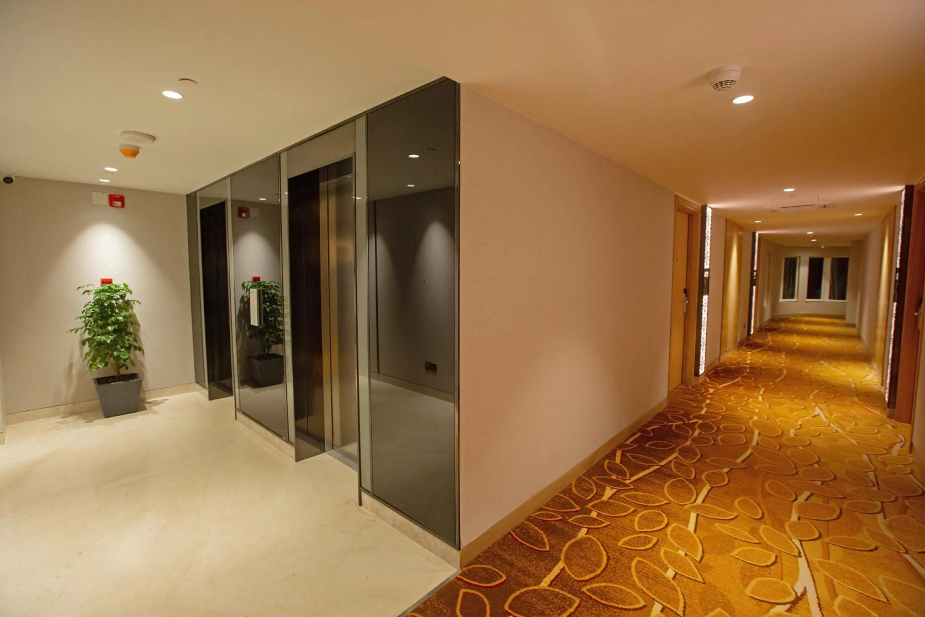 Floor plan in ARISTA BY AMBITION