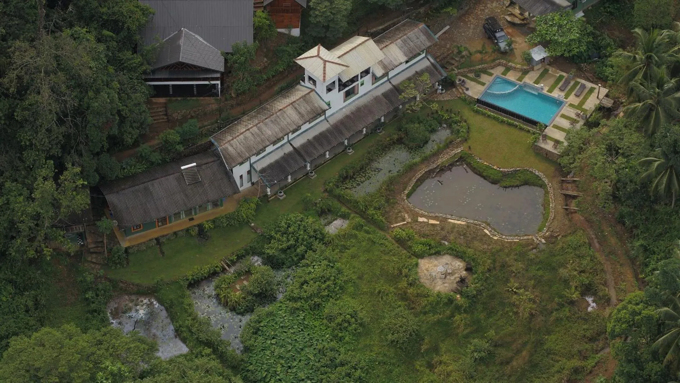 Bird's eye view in Sinharaja Forest Edge
