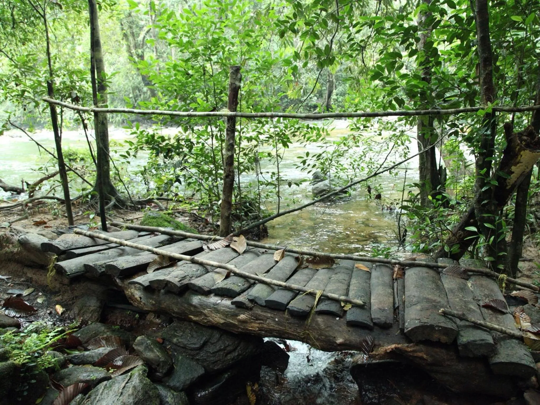 Nearby landmark in Sinharaja Forest Edge
