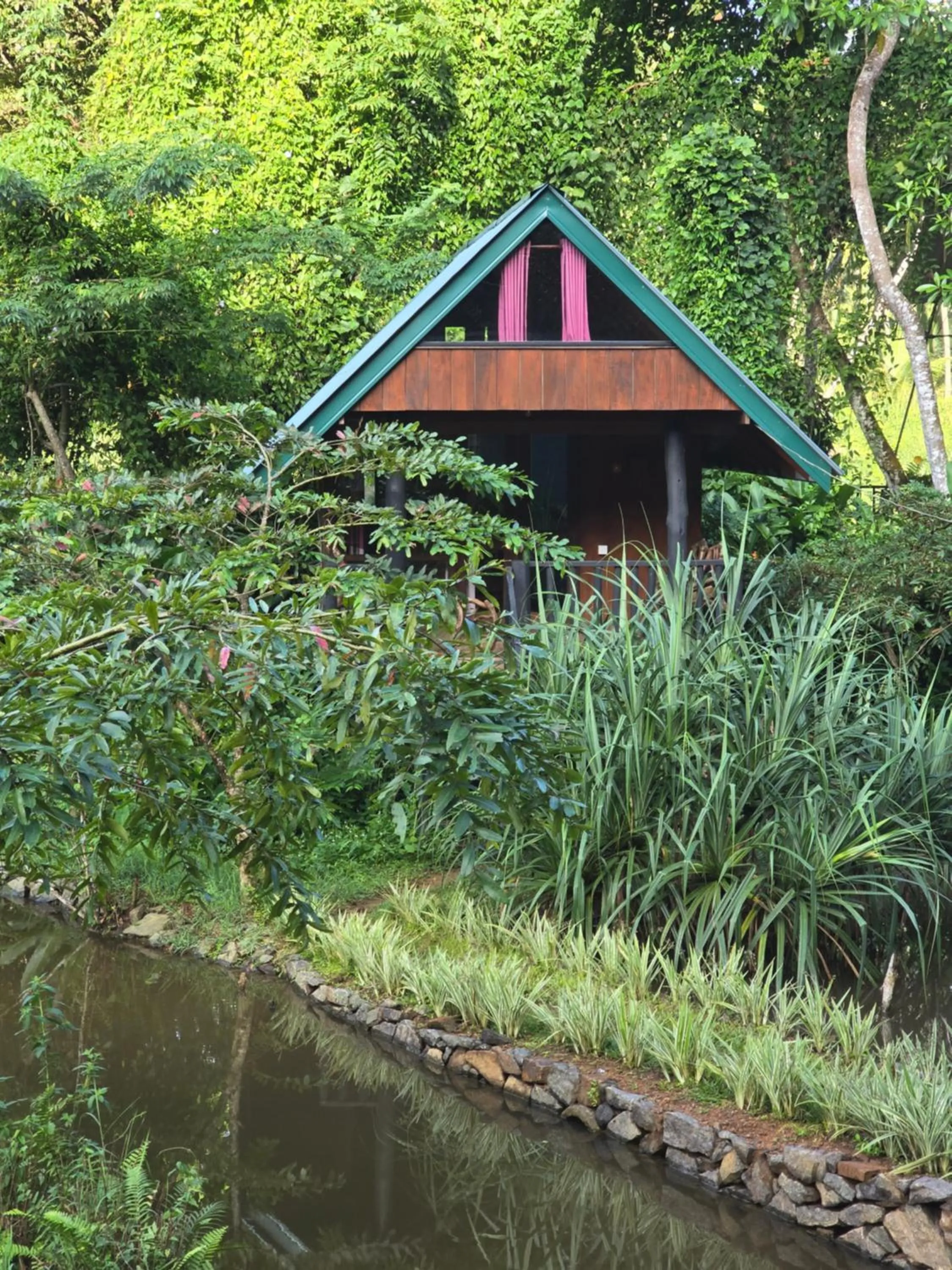 Sinharaja Forest Edge
