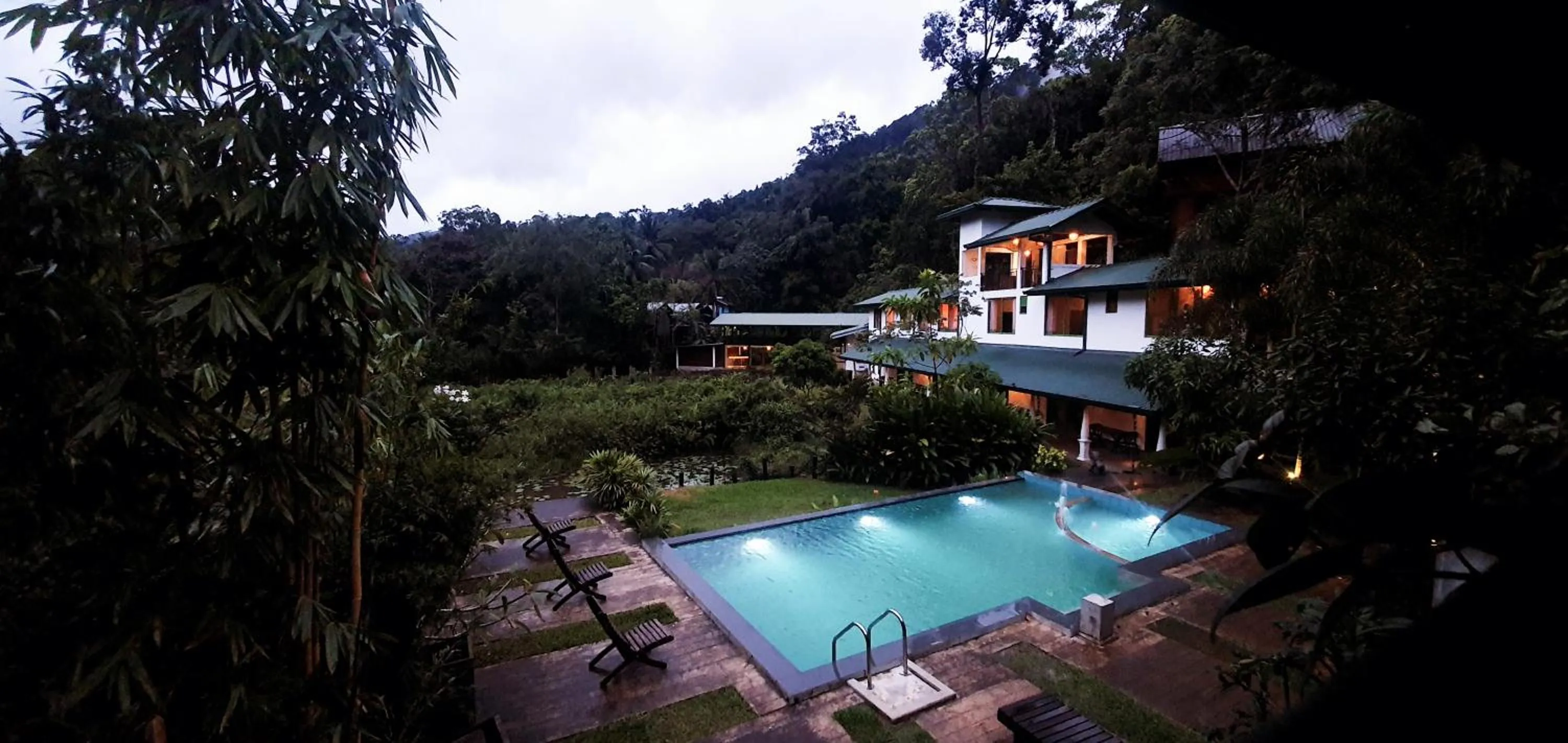  in Sinharaja Forest Edge