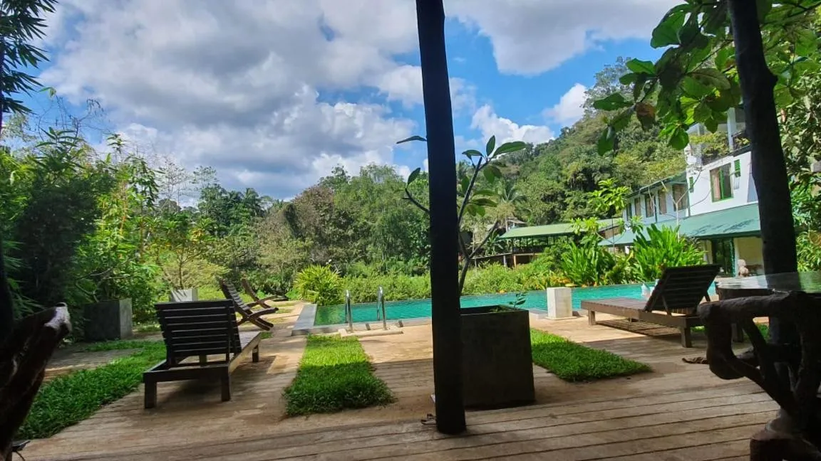 Sinharaja Forest Edge