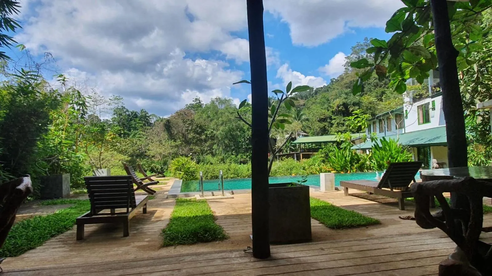 Sinharaja Forest Edge