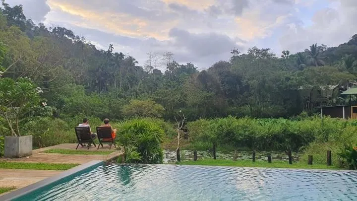 Swimming pool in Sinharaja Forest Edge