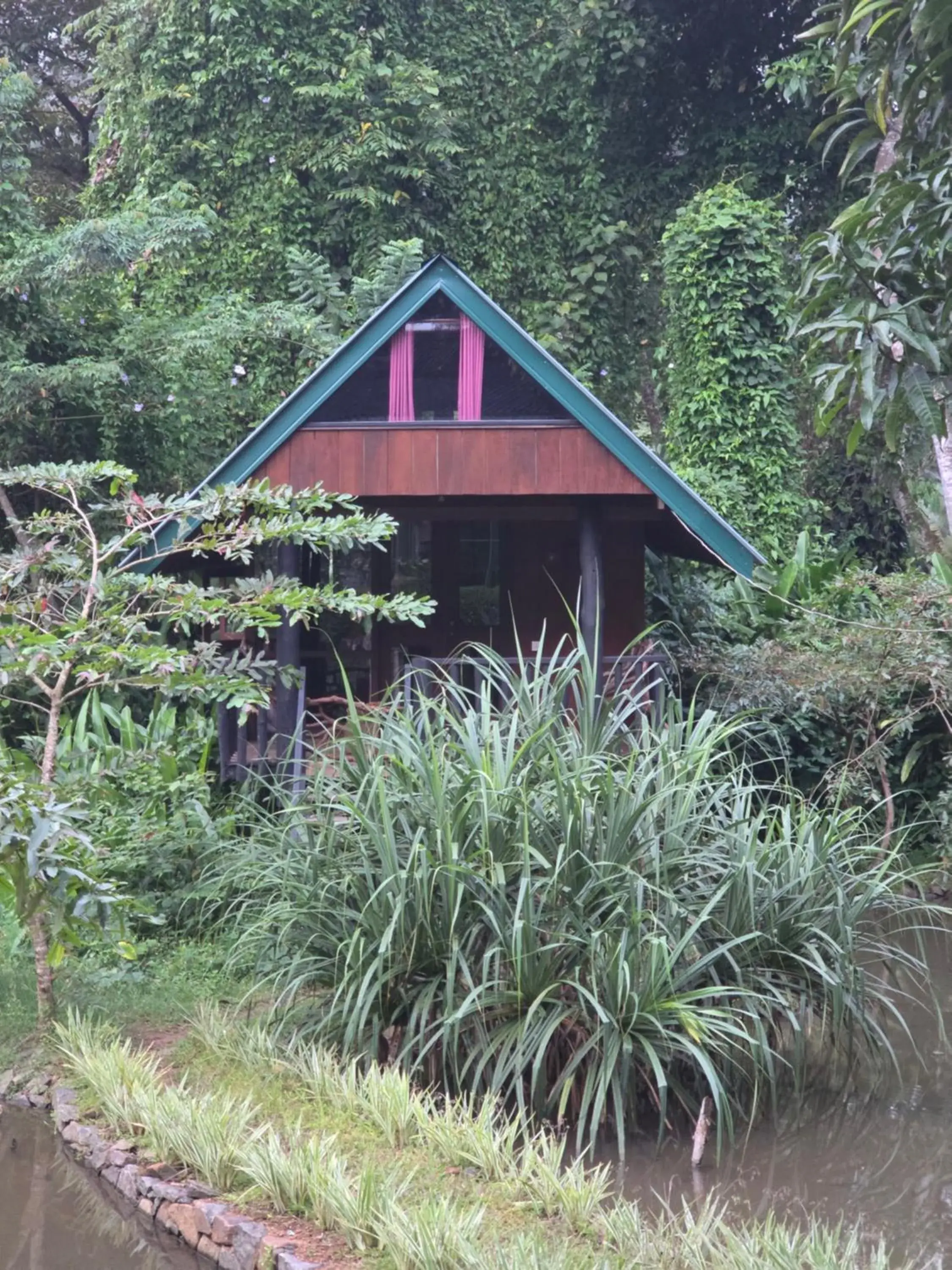 Quadruple Room with Lake View in Sinharaja Forest Edge Quadruple Room with Lake View in Sinharaja Forest Edge