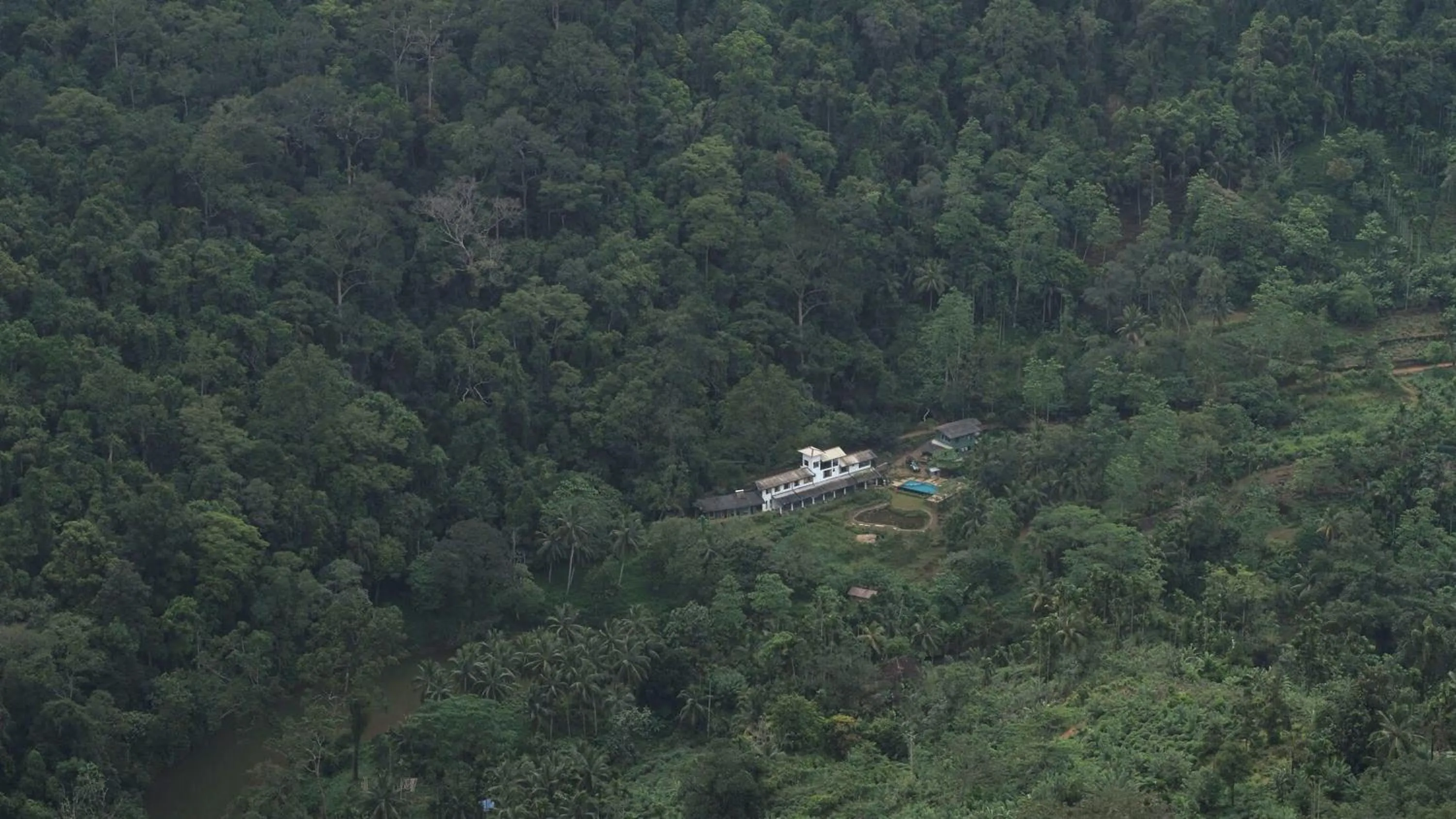 Bird's eye view in Sinharaja Forest Edge