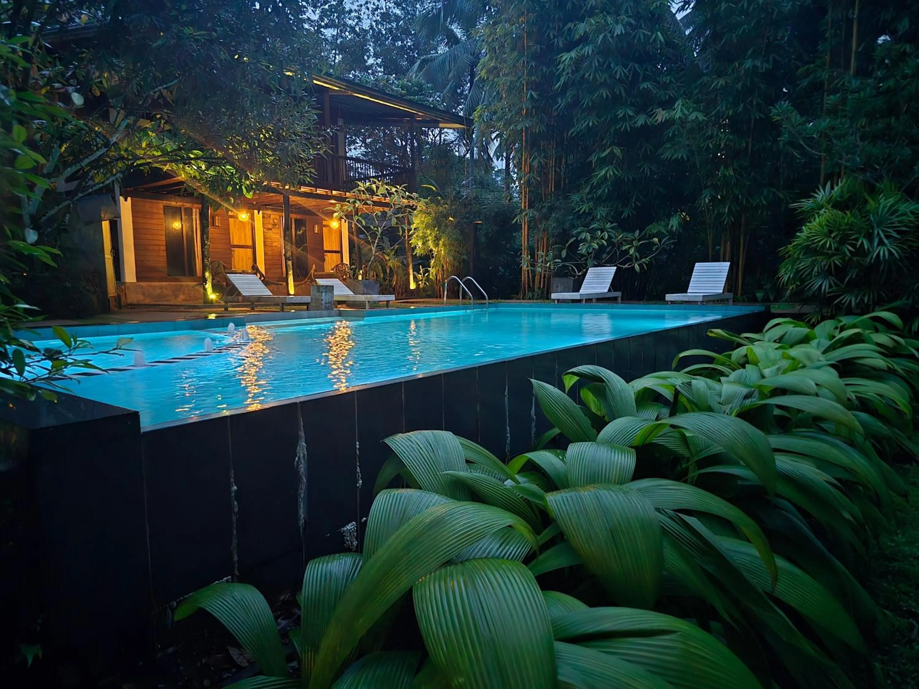 Sinharaja Forest Edge