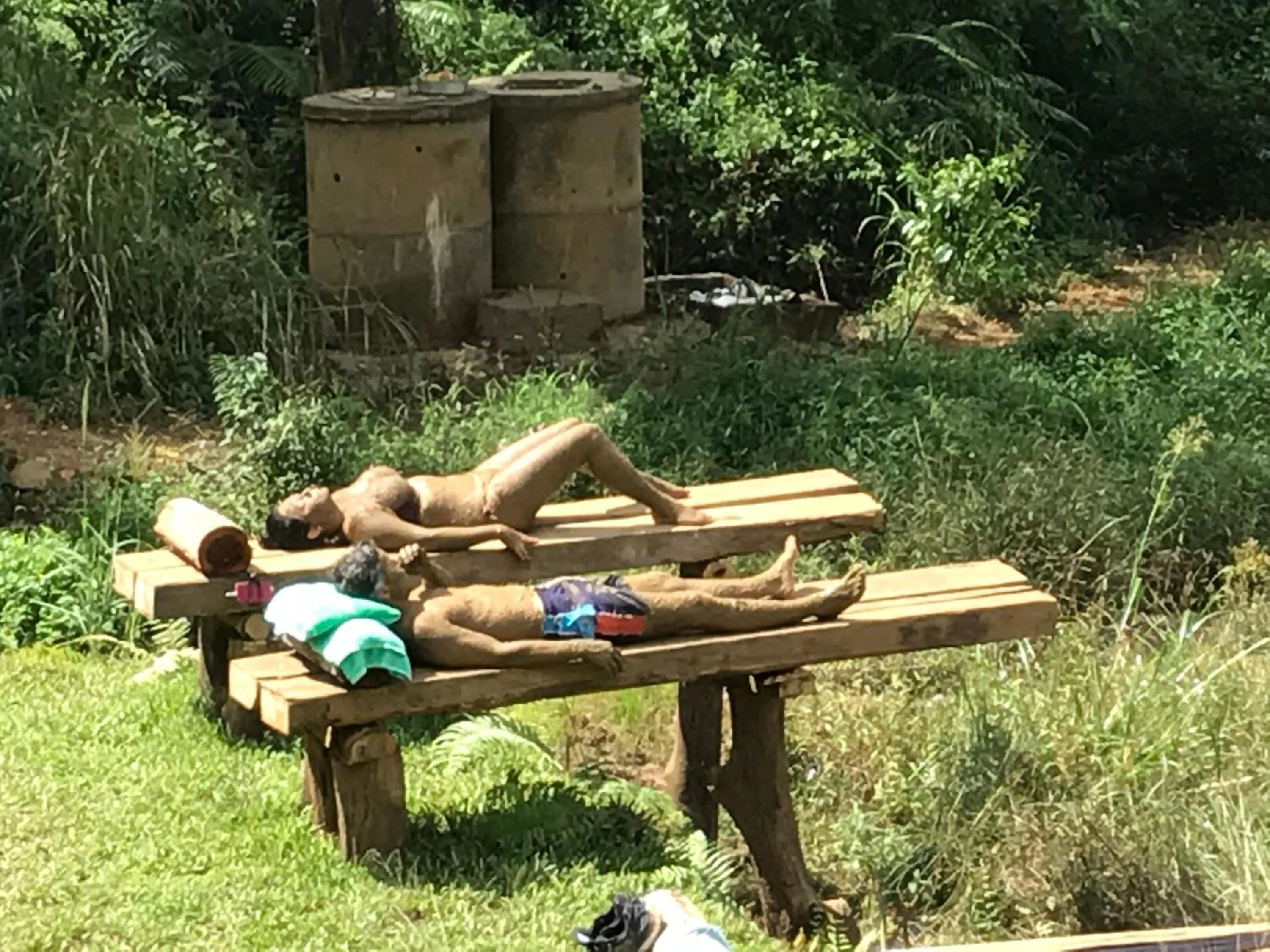 Garden in Sinharaja Forest Edge