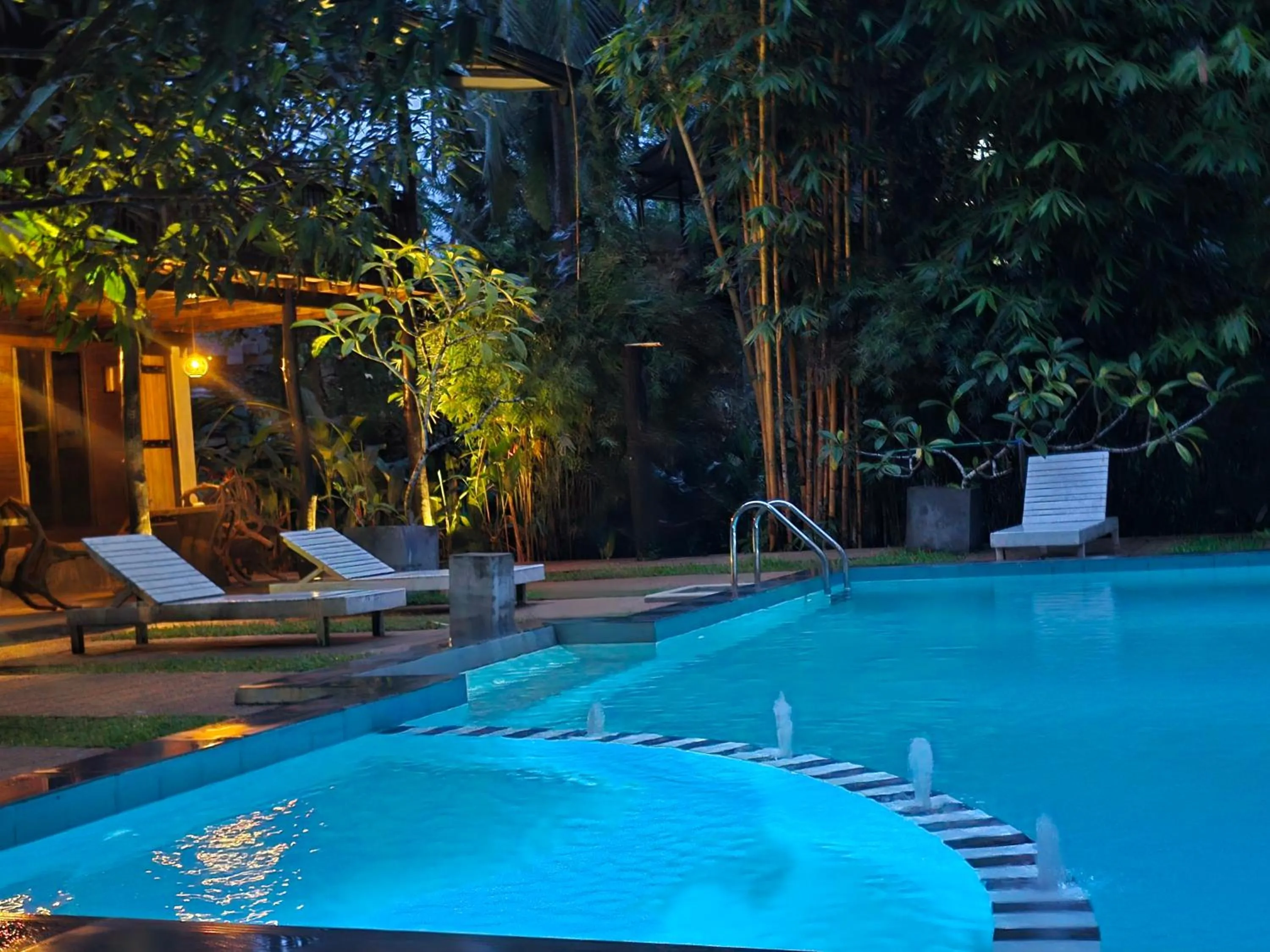 Sinharaja Forest Edge