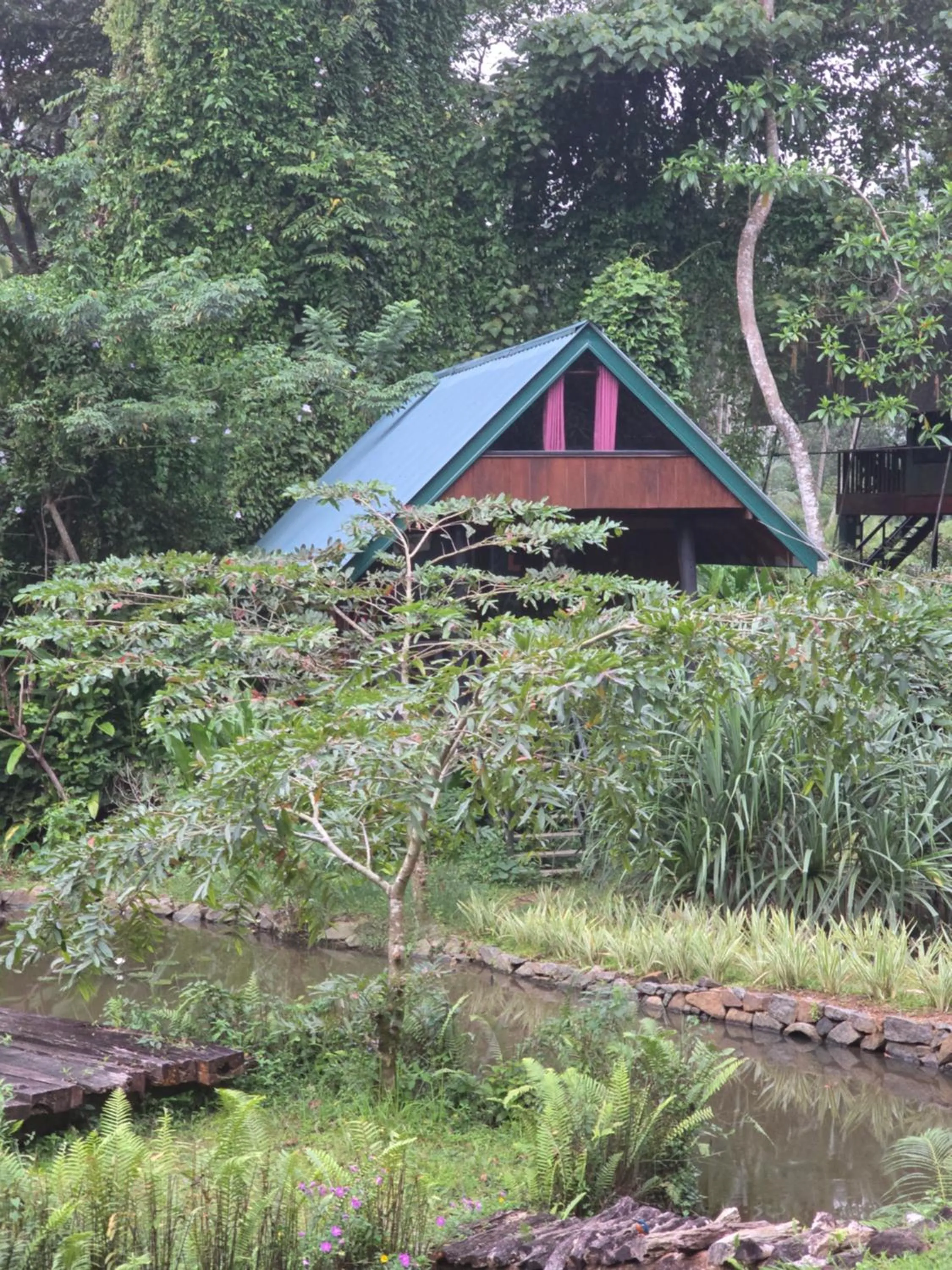 Sinharaja Forest Edge