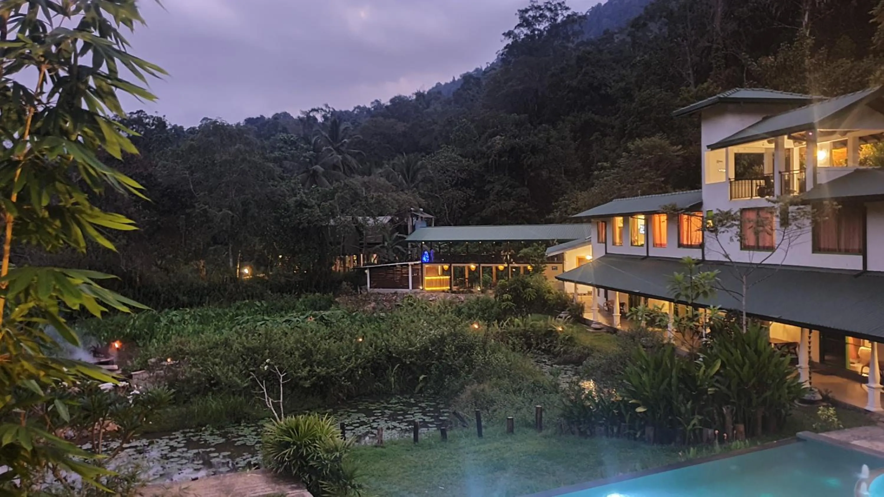 Natural landscape in Sinharaja Forest Edge