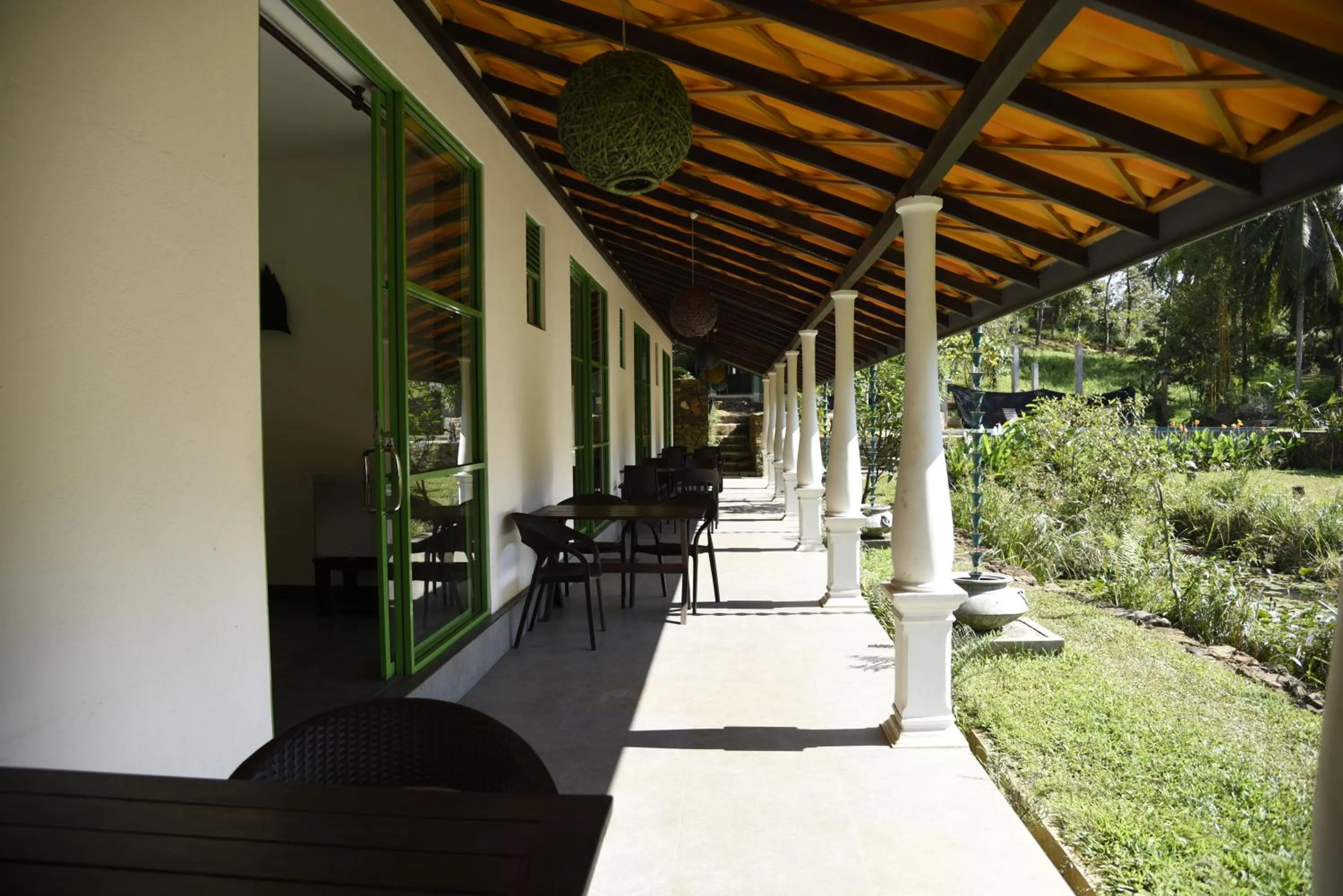 Day in Sinharaja Forest Edge