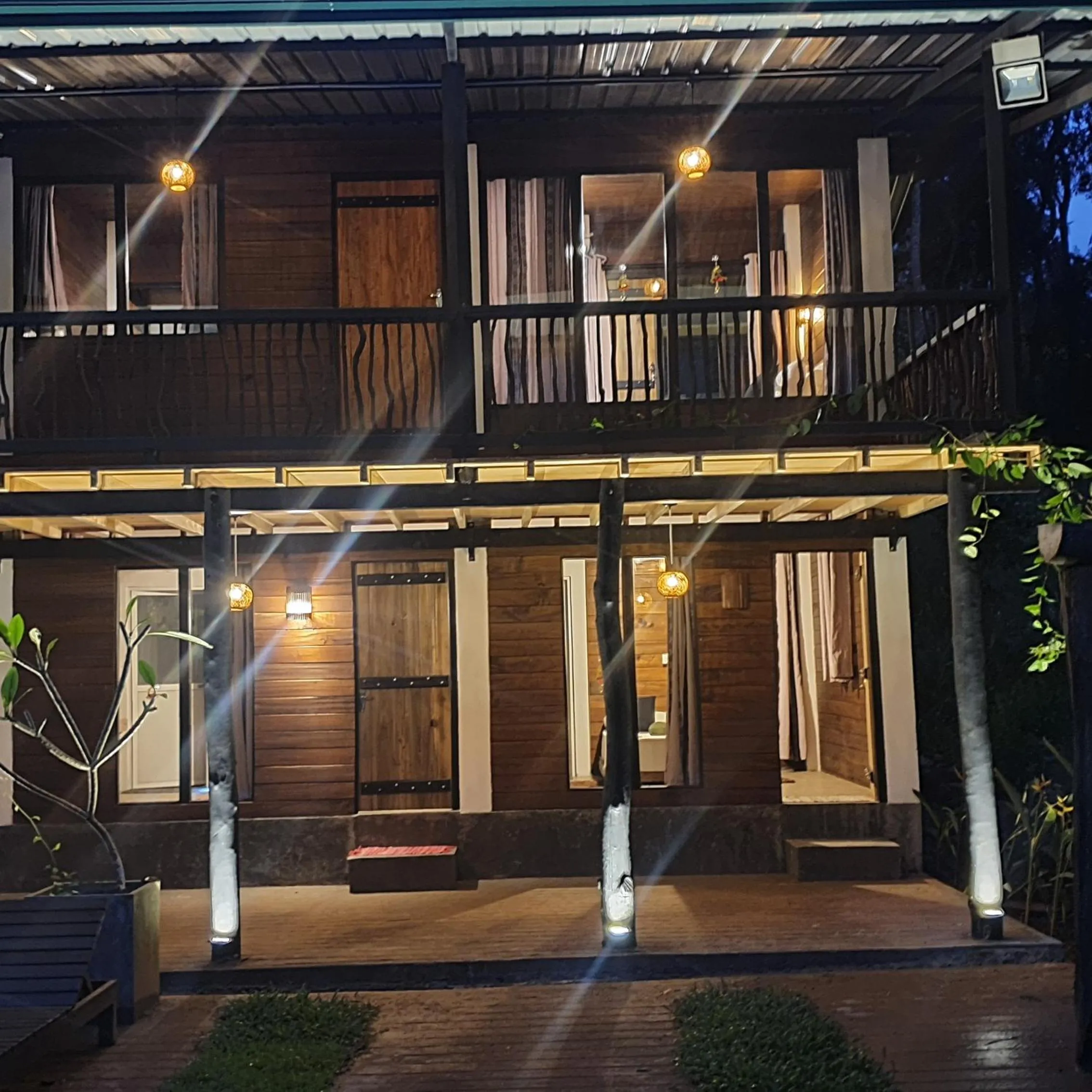 Sinharaja Forest Edge