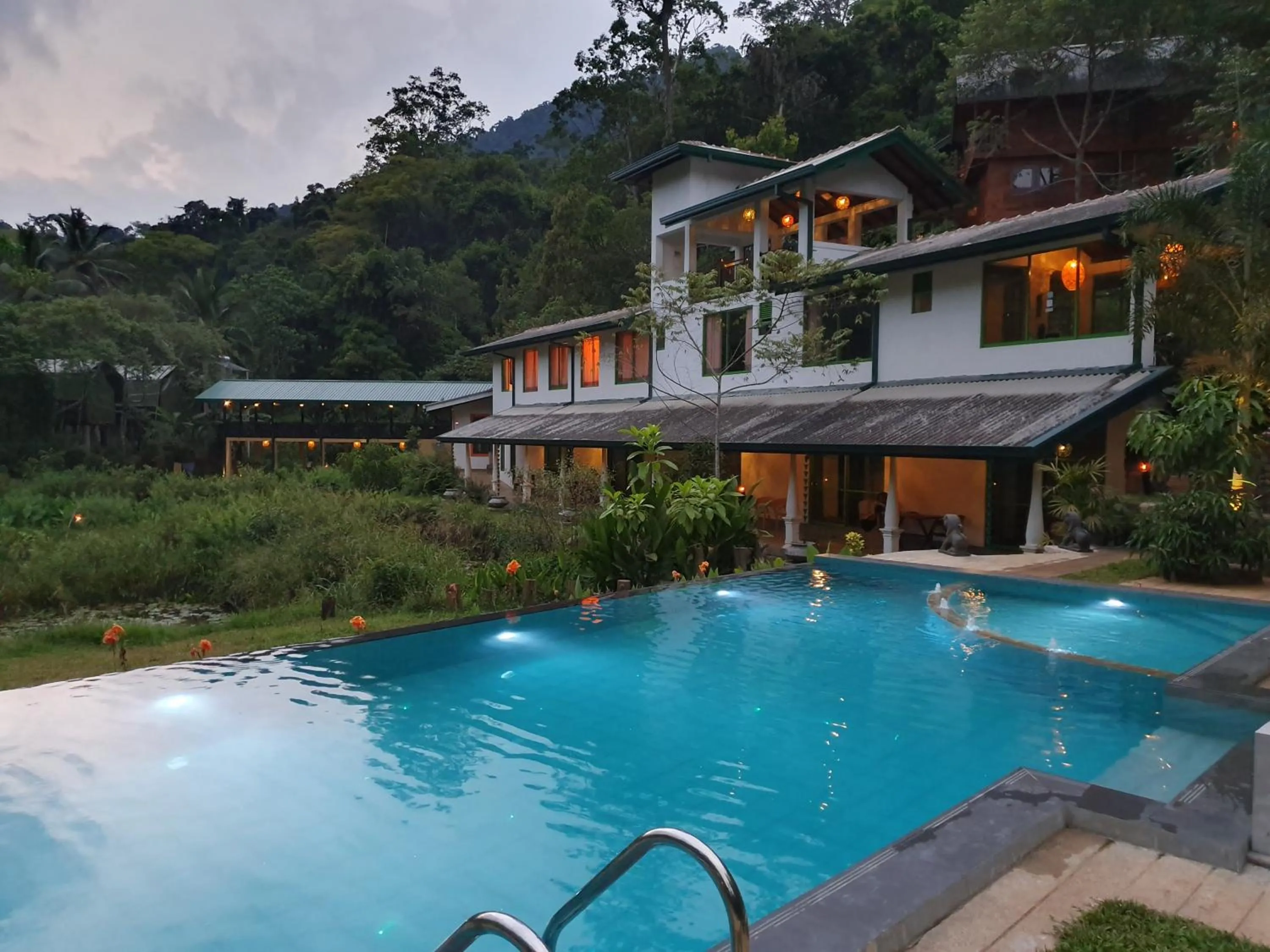 Garden in Sinharaja Forest Edge