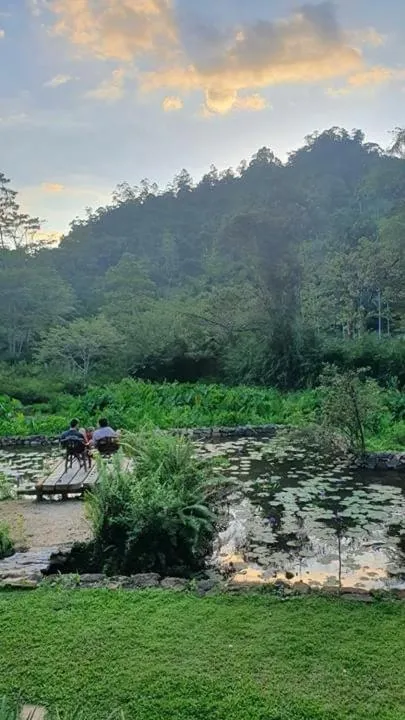 Natural landscape in Sinharaja Forest Edge
