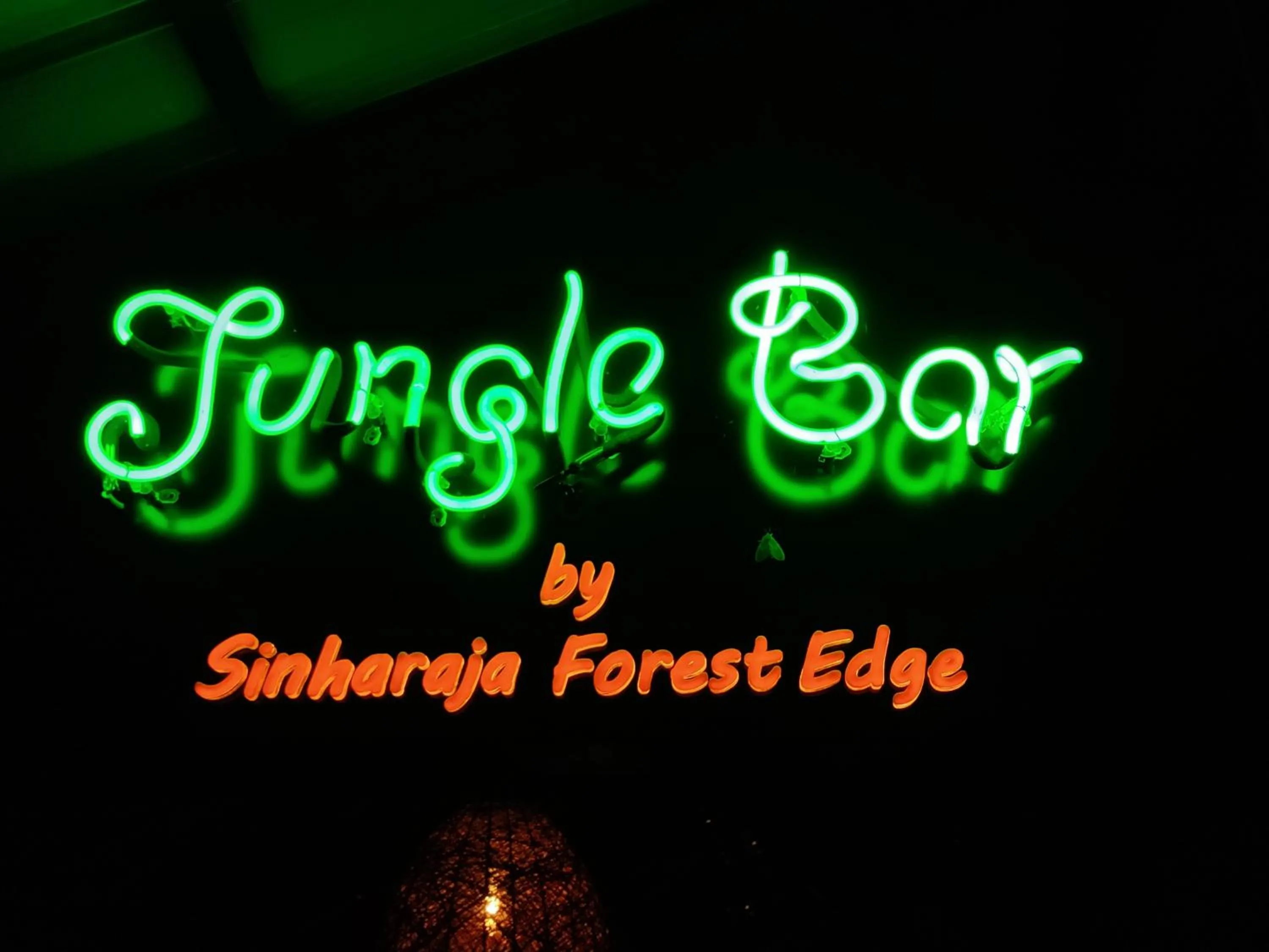 Sinharaja Forest Edge