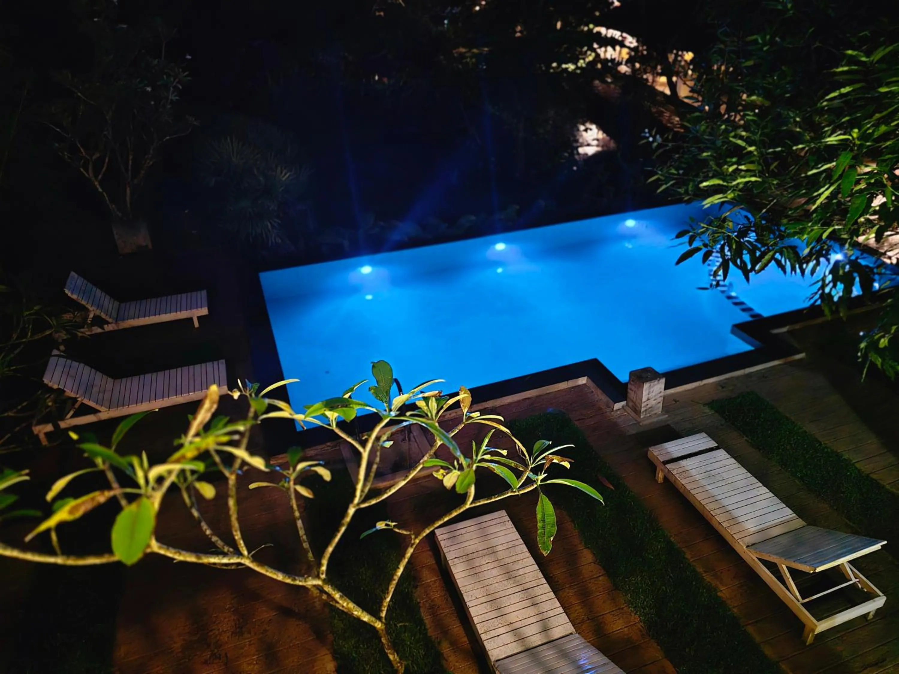 Sinharaja Forest Edge