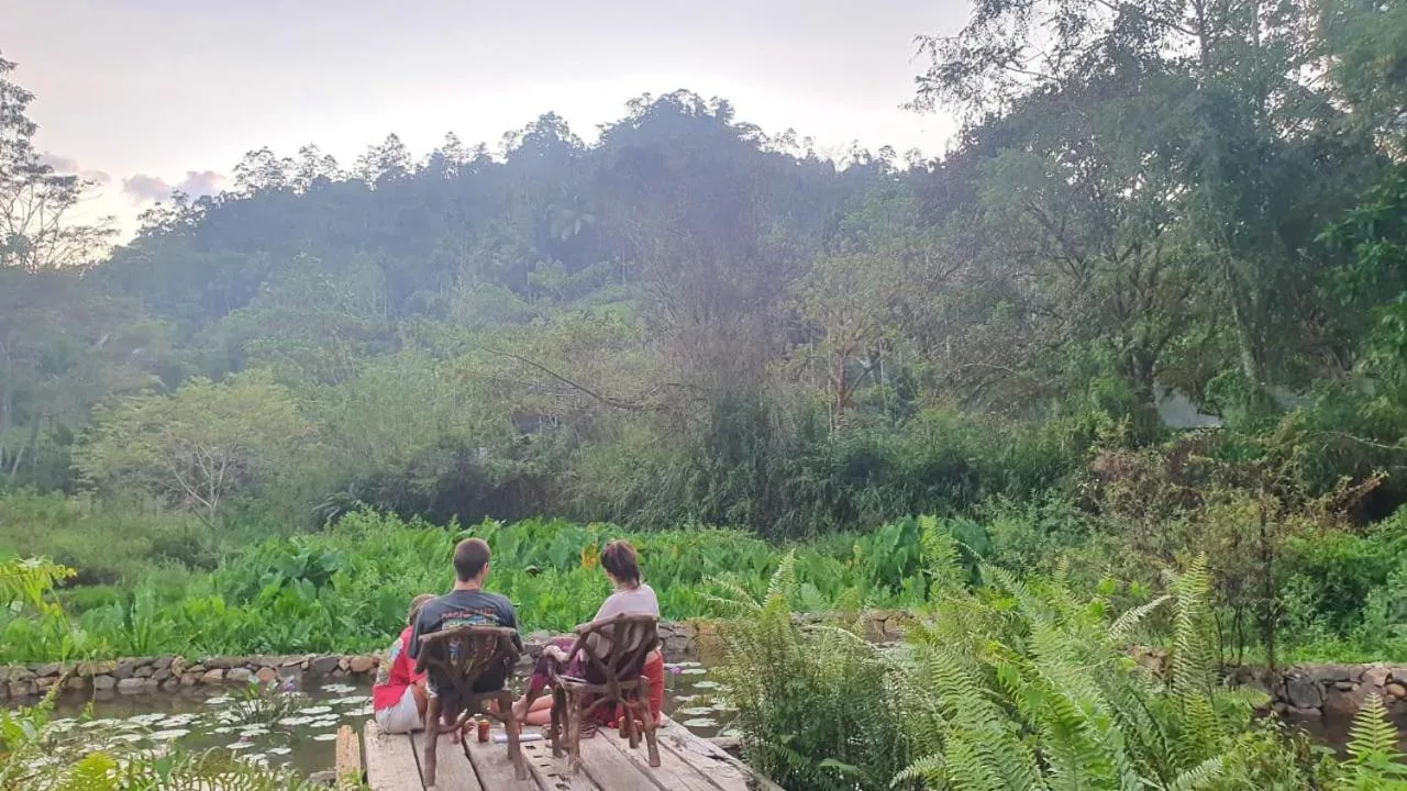 Lake view in Sinharaja Forest Edge