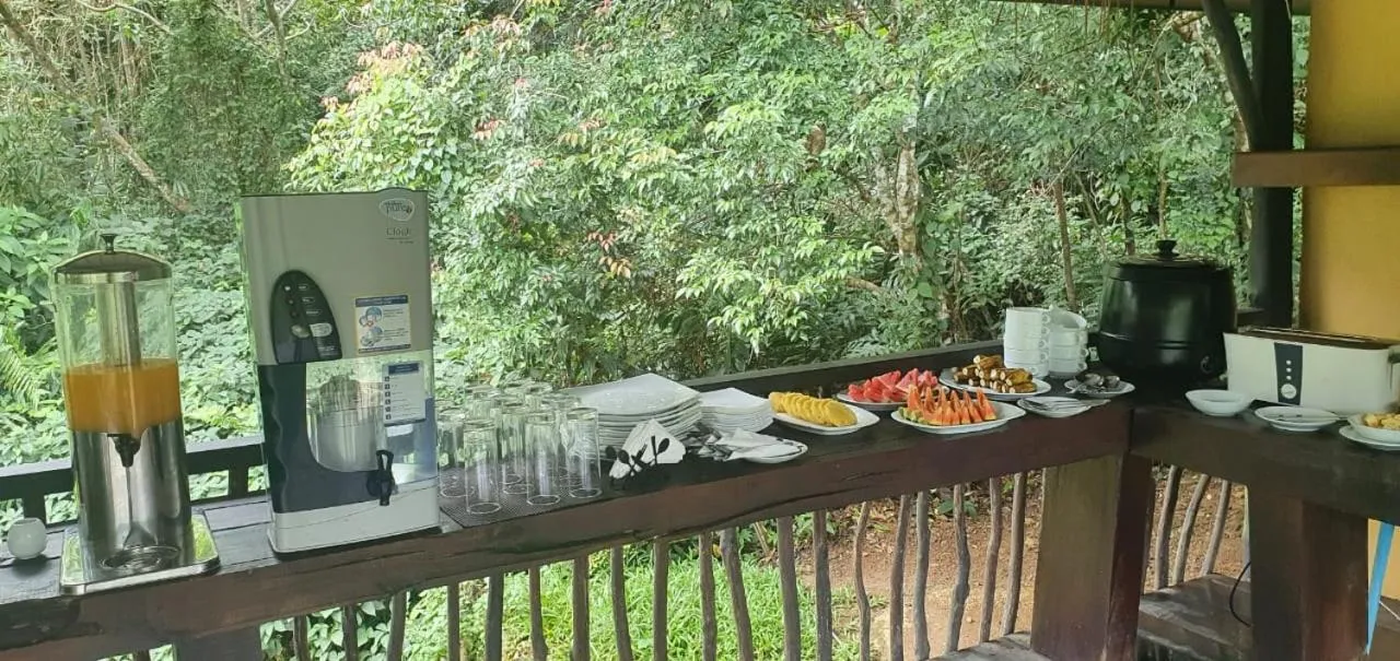 Sinharaja Forest Edge