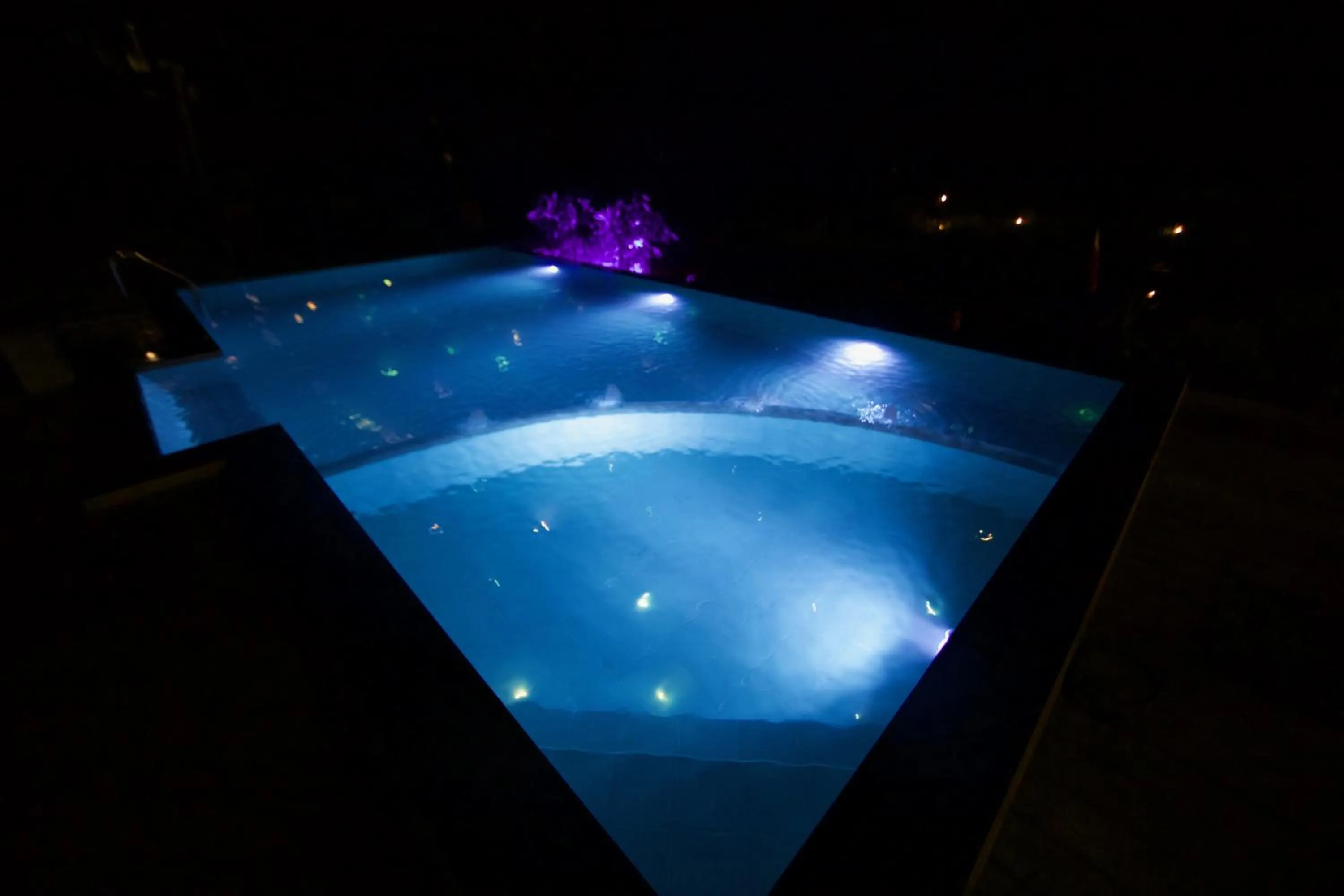 Swimming pool in Sinharaja Forest Edge