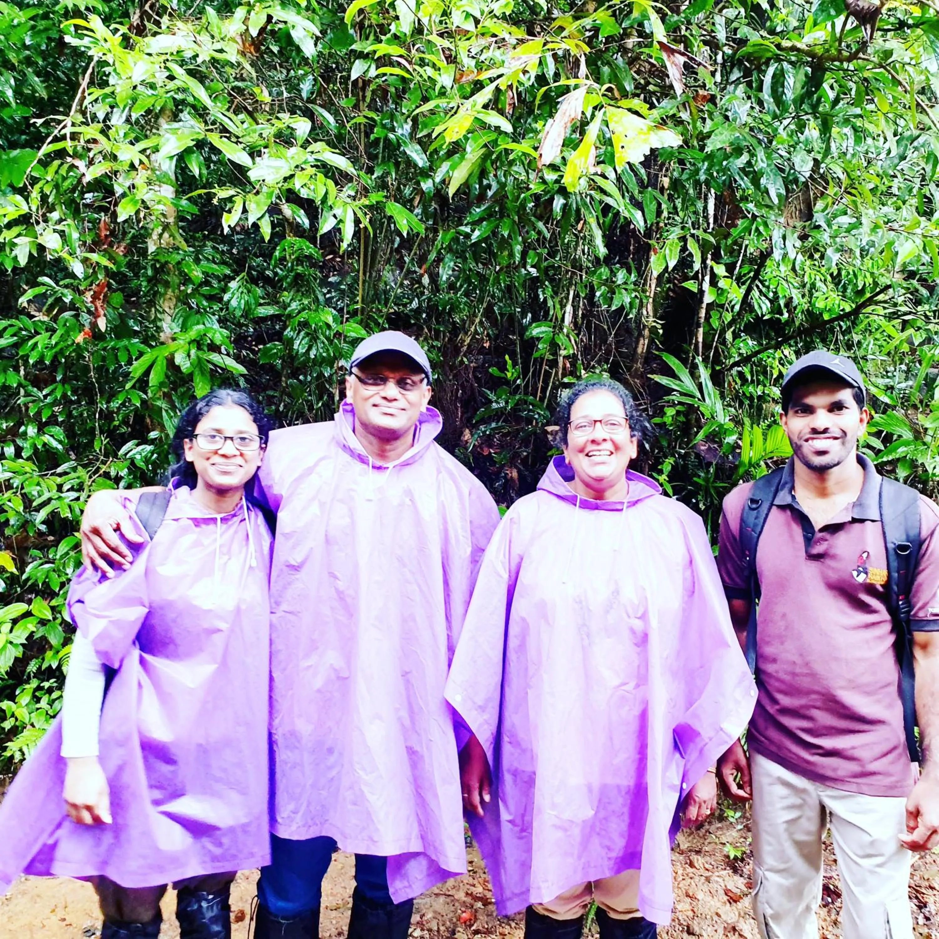 Sinharaja Forest Edge