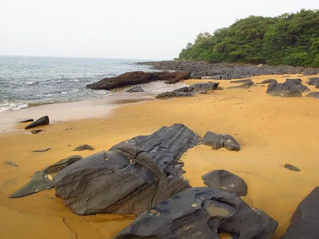 Daltons Banana Guesthouse