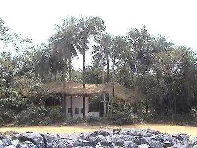 Daltons Banana Guesthouse