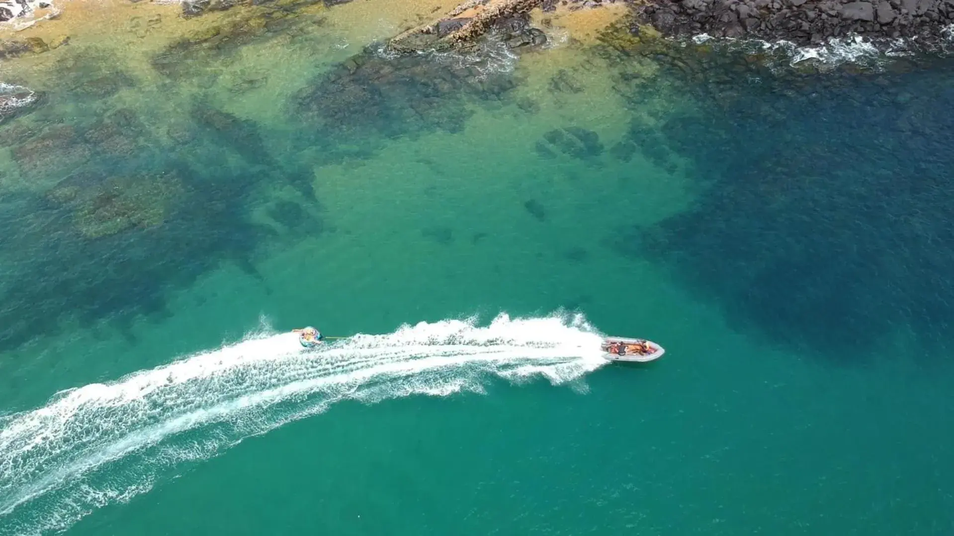 Daltons Banana Guesthouse Daltons Banana Guesthouse