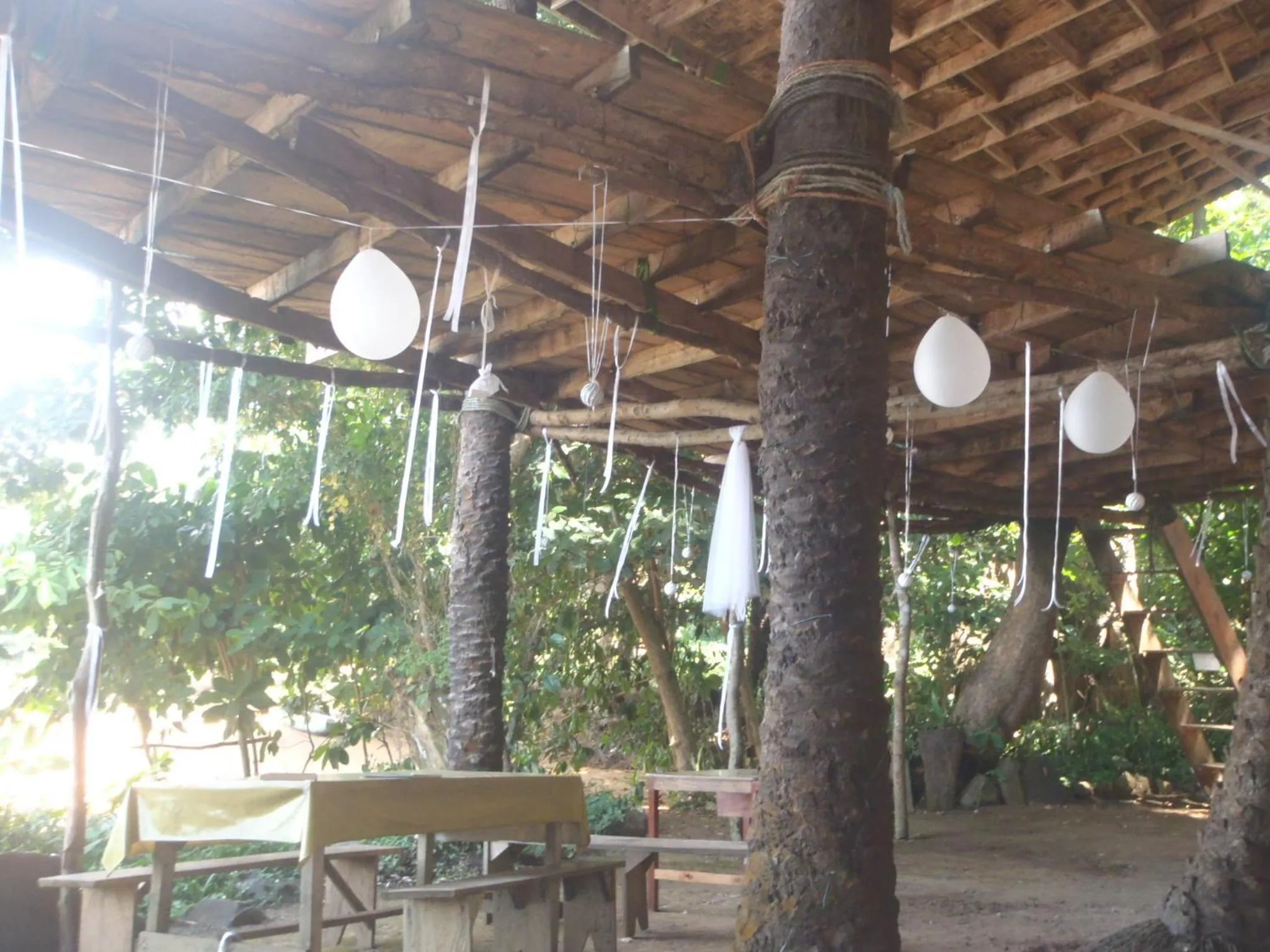 Daltons Banana Guesthouse