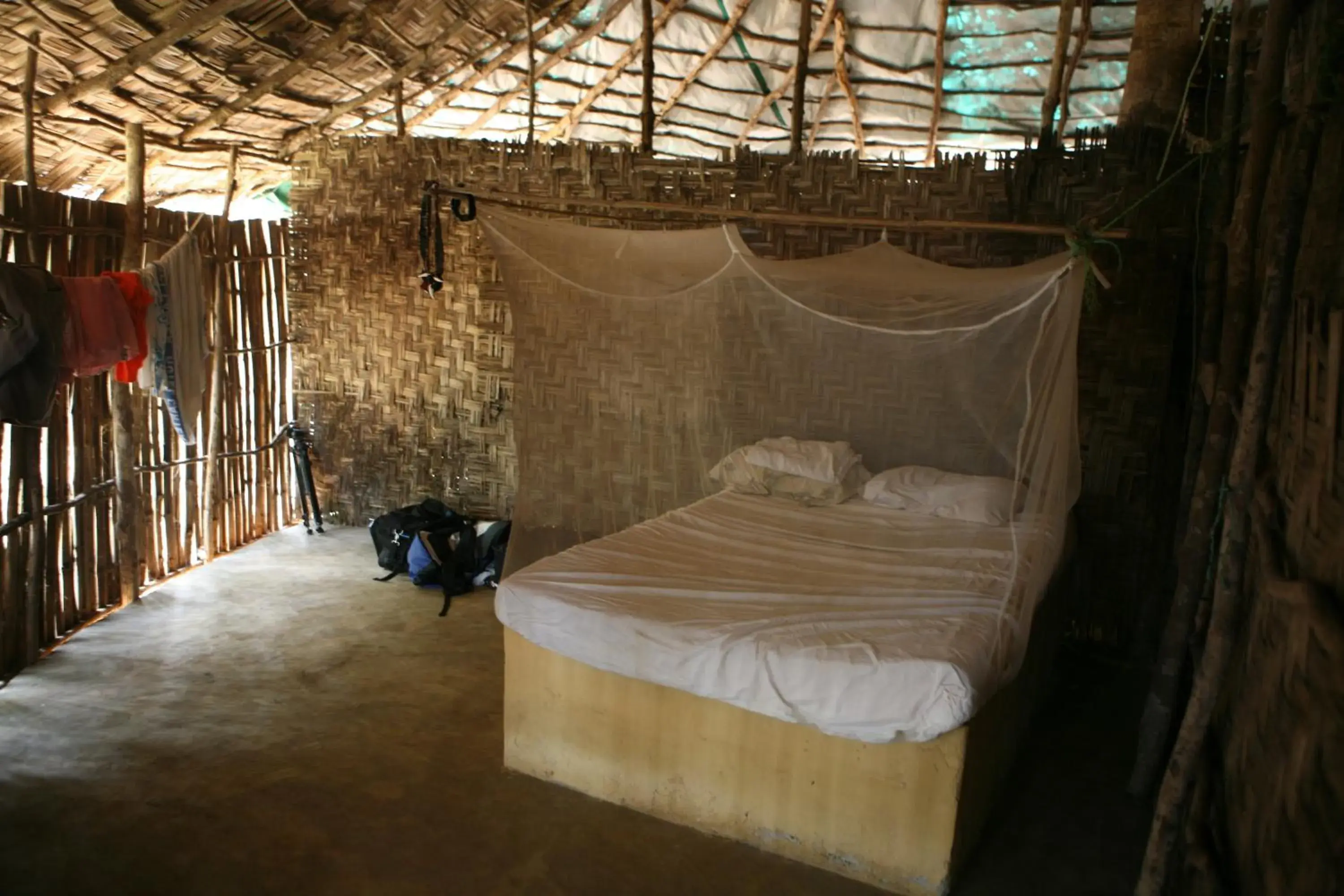 Budget Double Room in Daltons Banana Guesthouse Budget Double Room in Daltons Banana Guesthouse