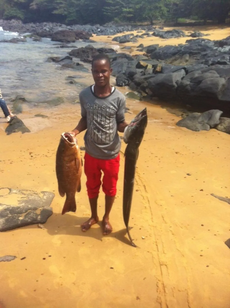 Daltons Banana Guesthouse