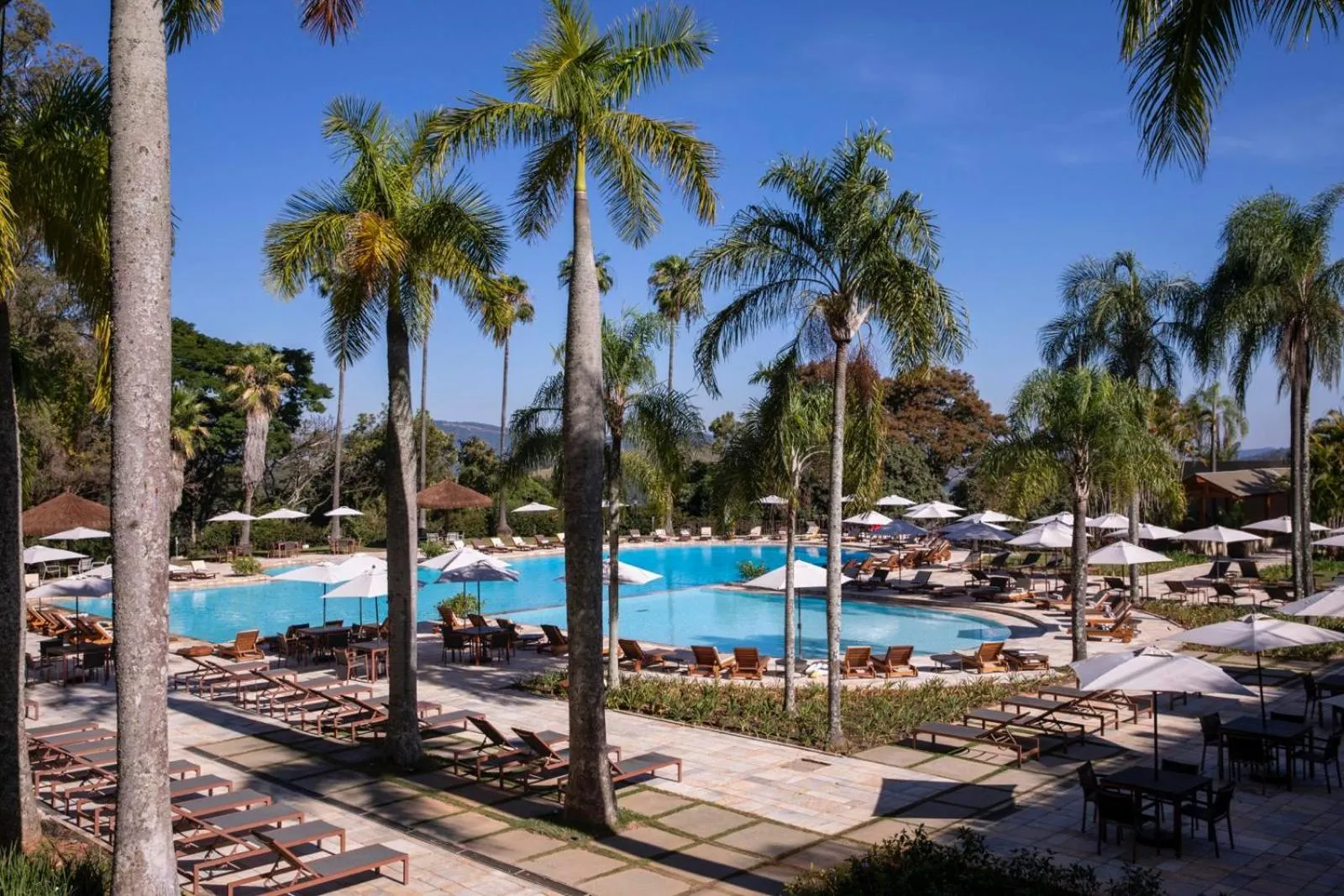 Swimming pool in Bendito Cacao Family Resort