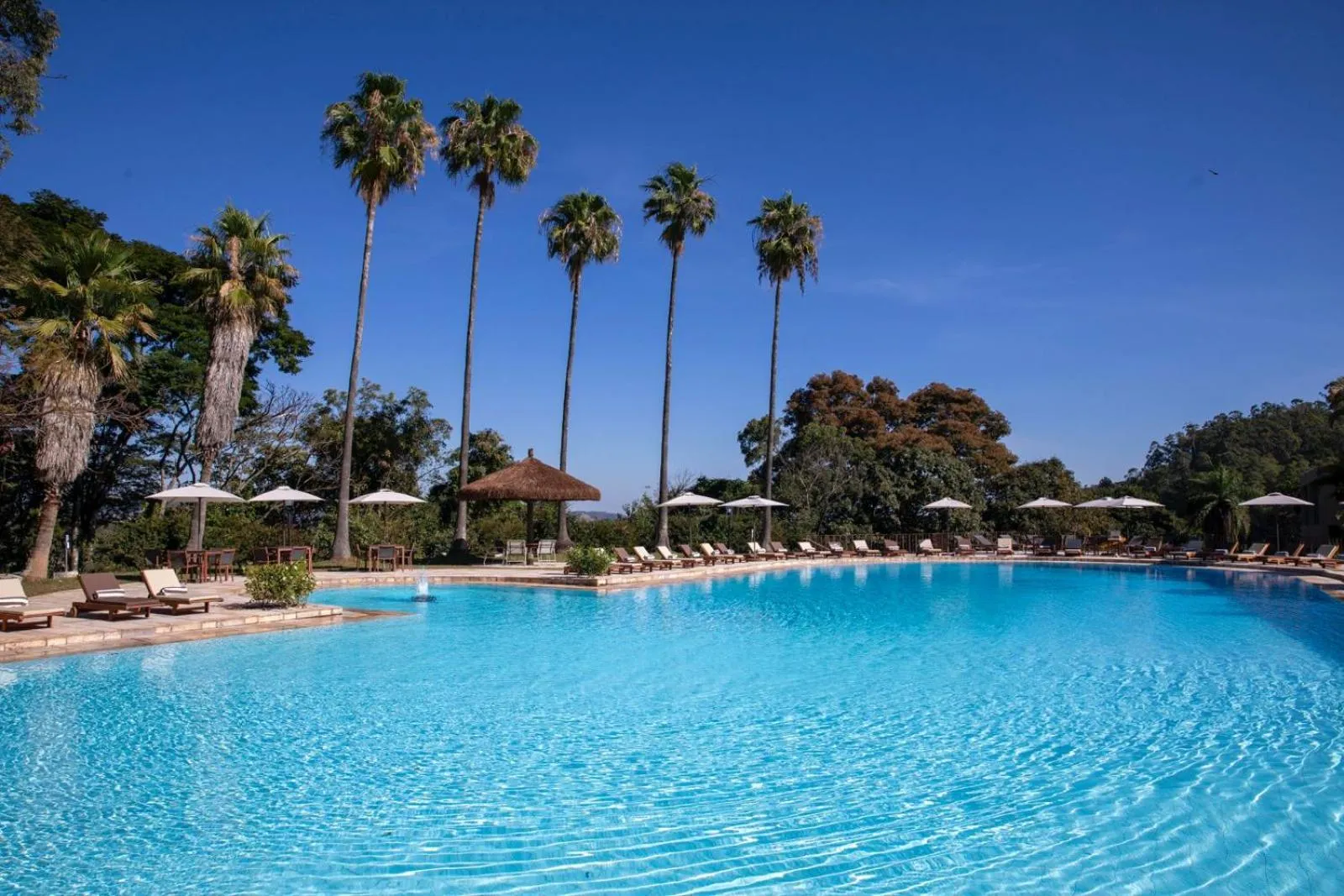 Swimming pool in Bendito Cacao Family Resort
