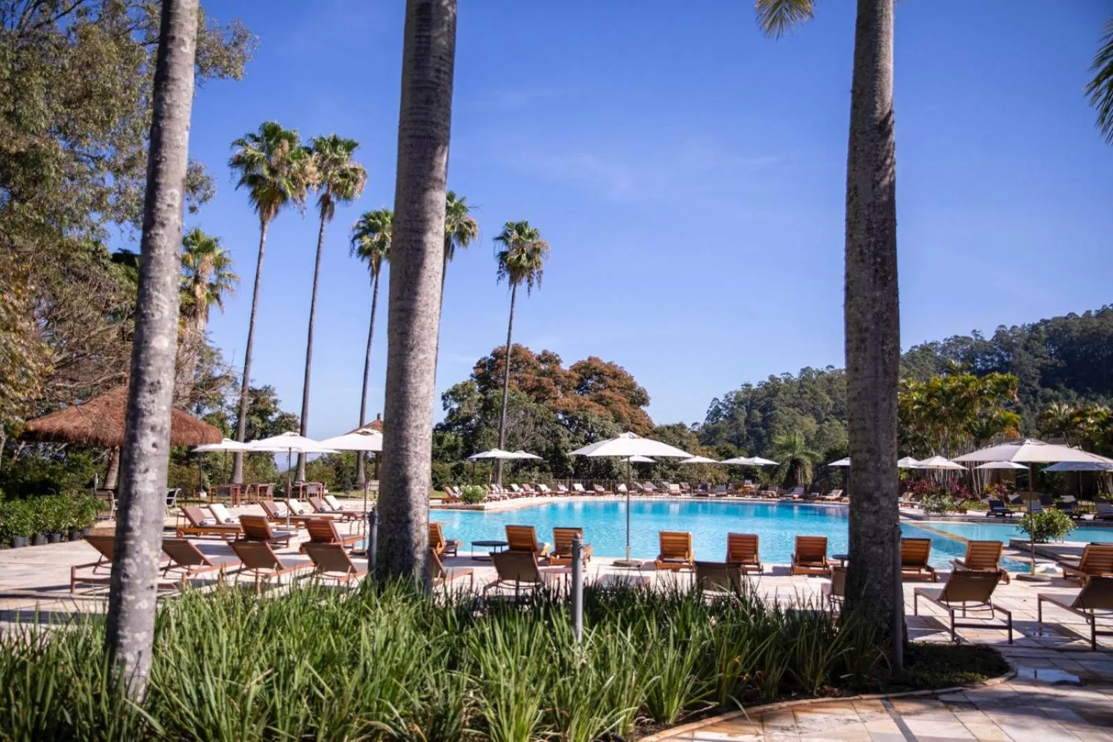 Swimming pool in Bendito Cacao Family Resort