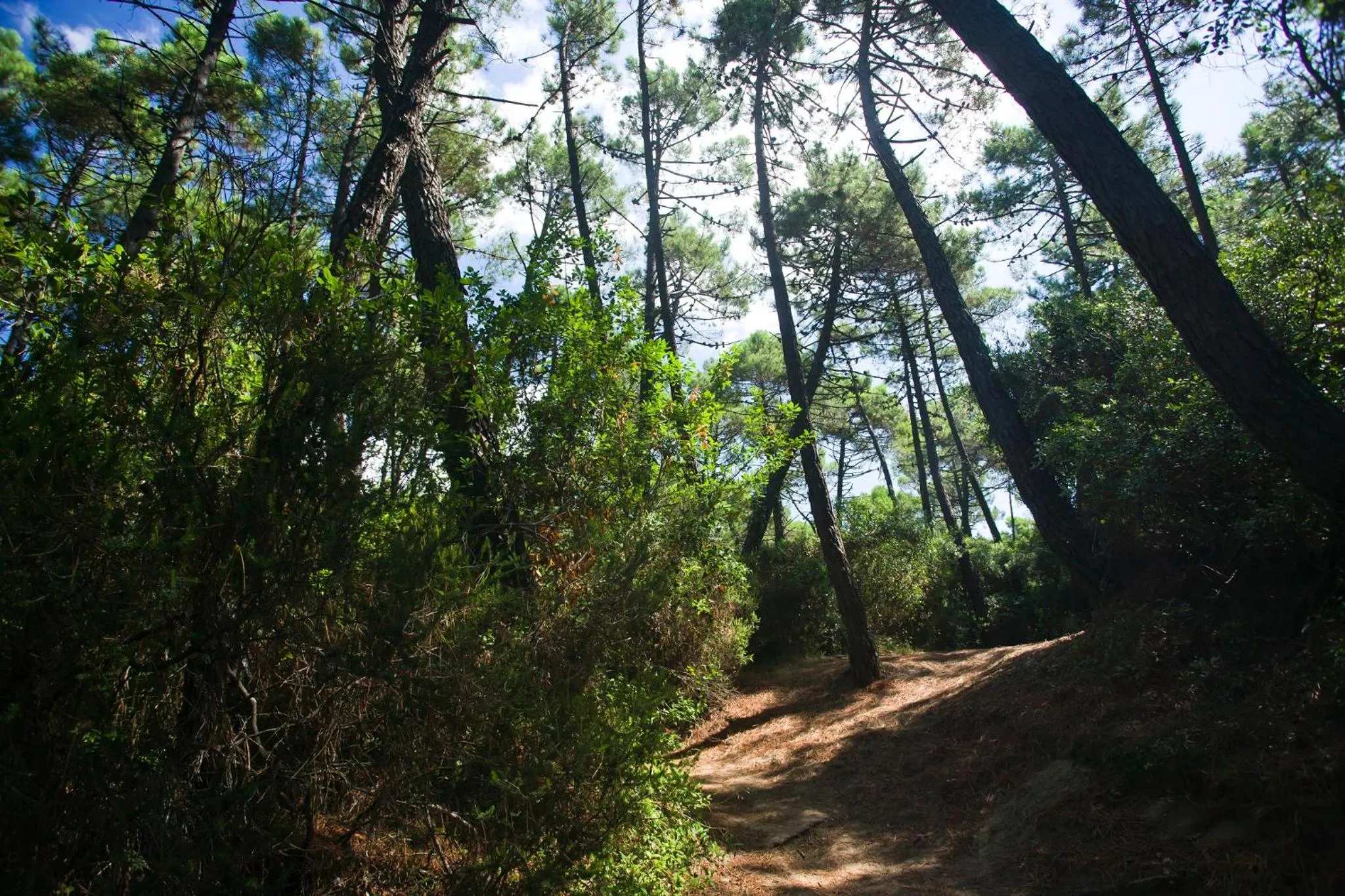 Spring in PuntAla Camp & Resort