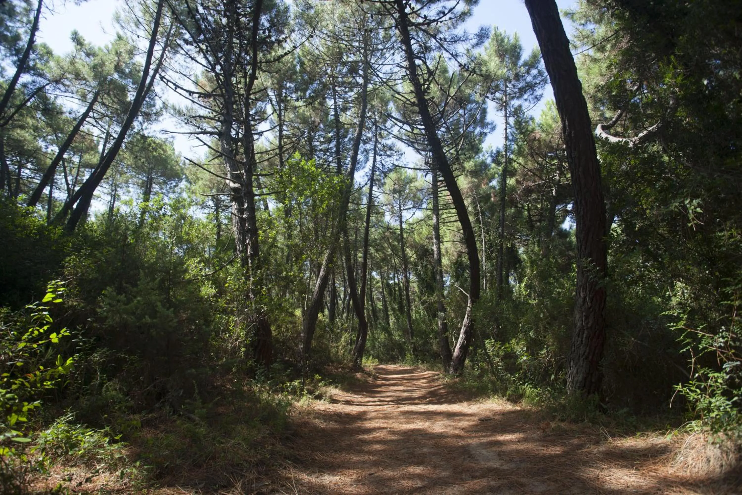 Other in PuntAla Camp & Resort