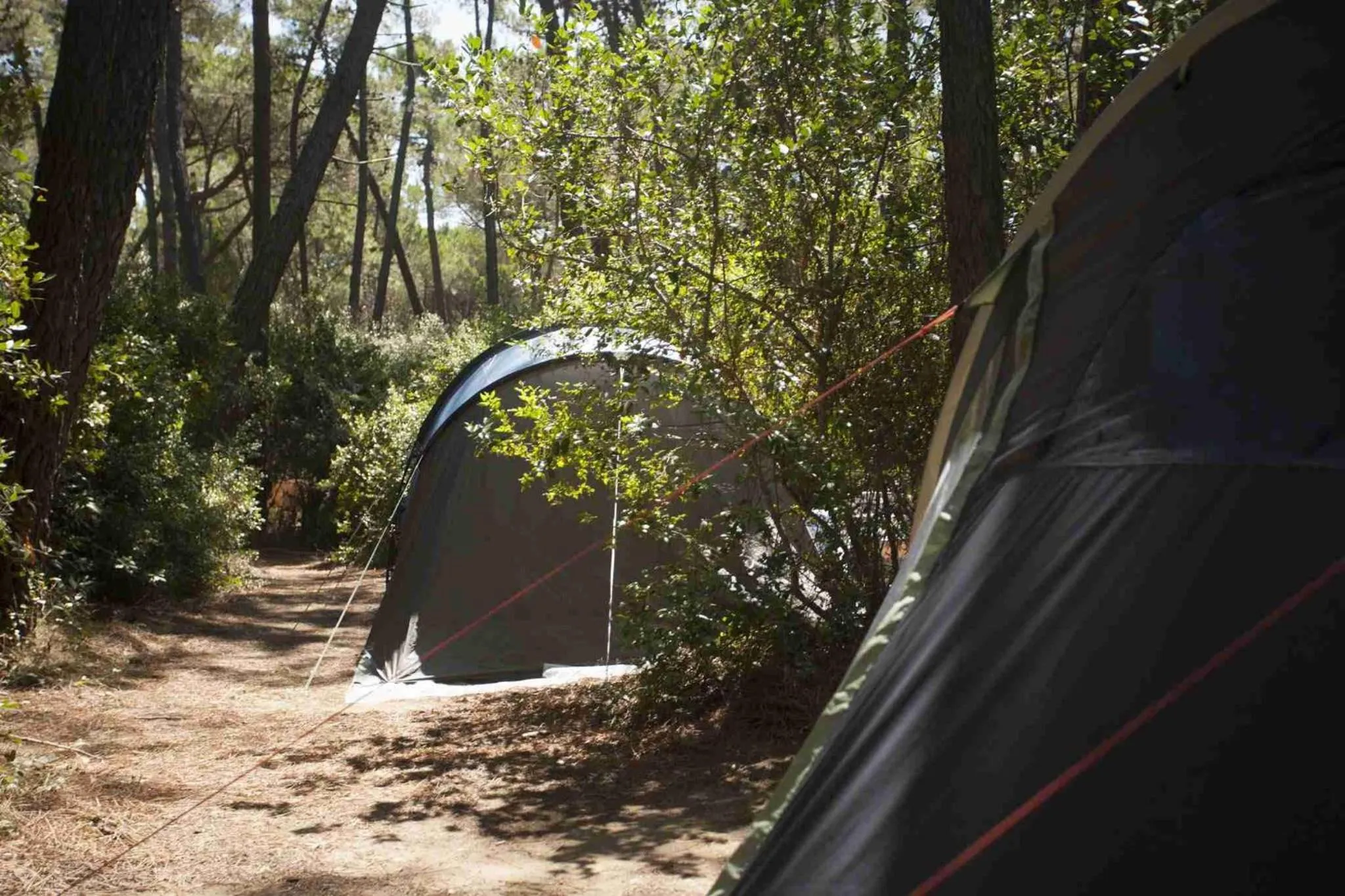 Spring in PuntAla Camp & Resort