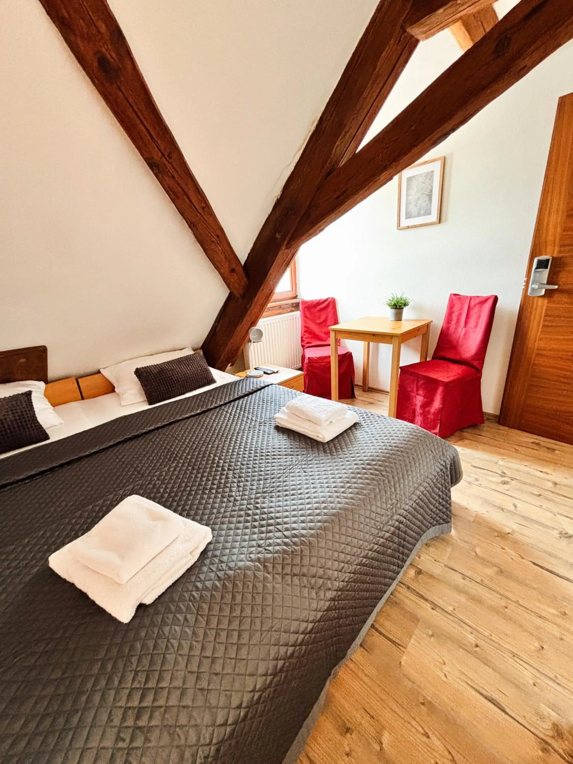 Bed in Wellness hotel & minipivovar Kněžínek